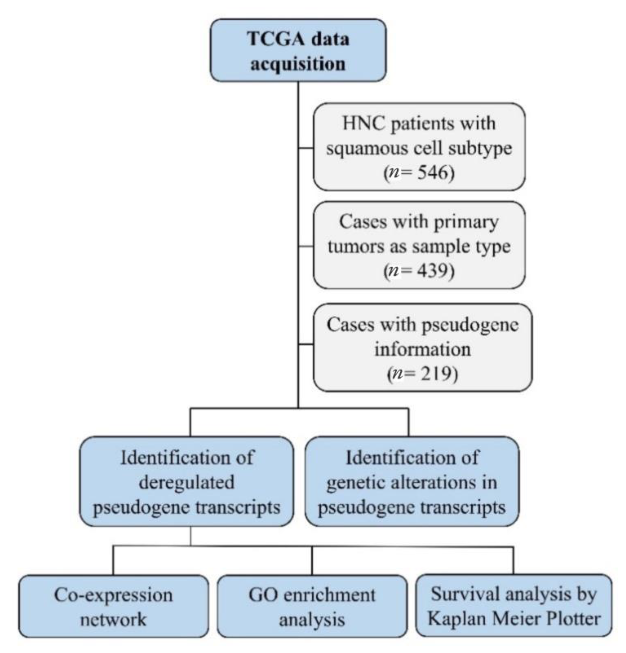 Genes 12 01254 g001 Genes 12 01254 g001