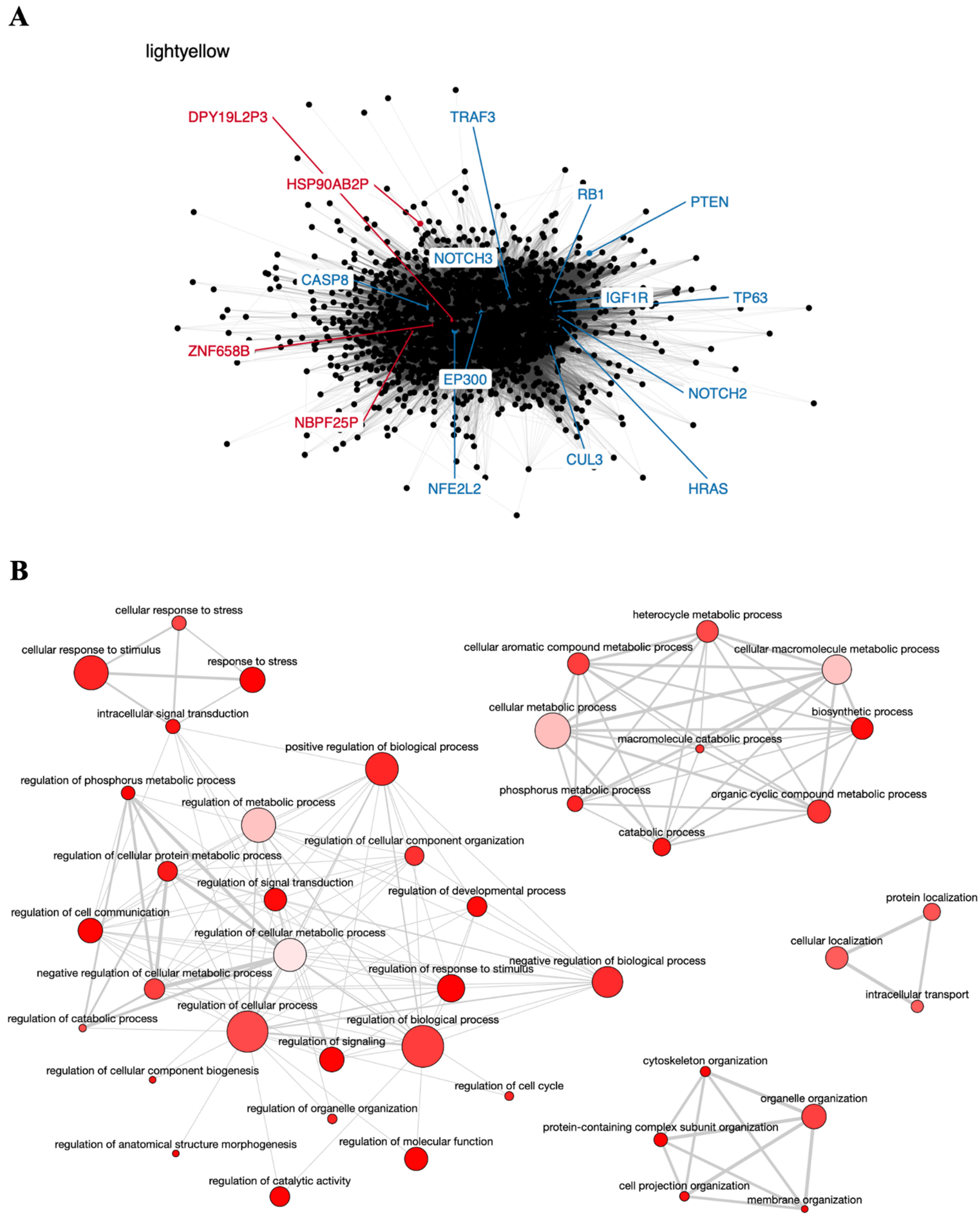 Genes 12 01254 g002 Genes 12 01254 g002