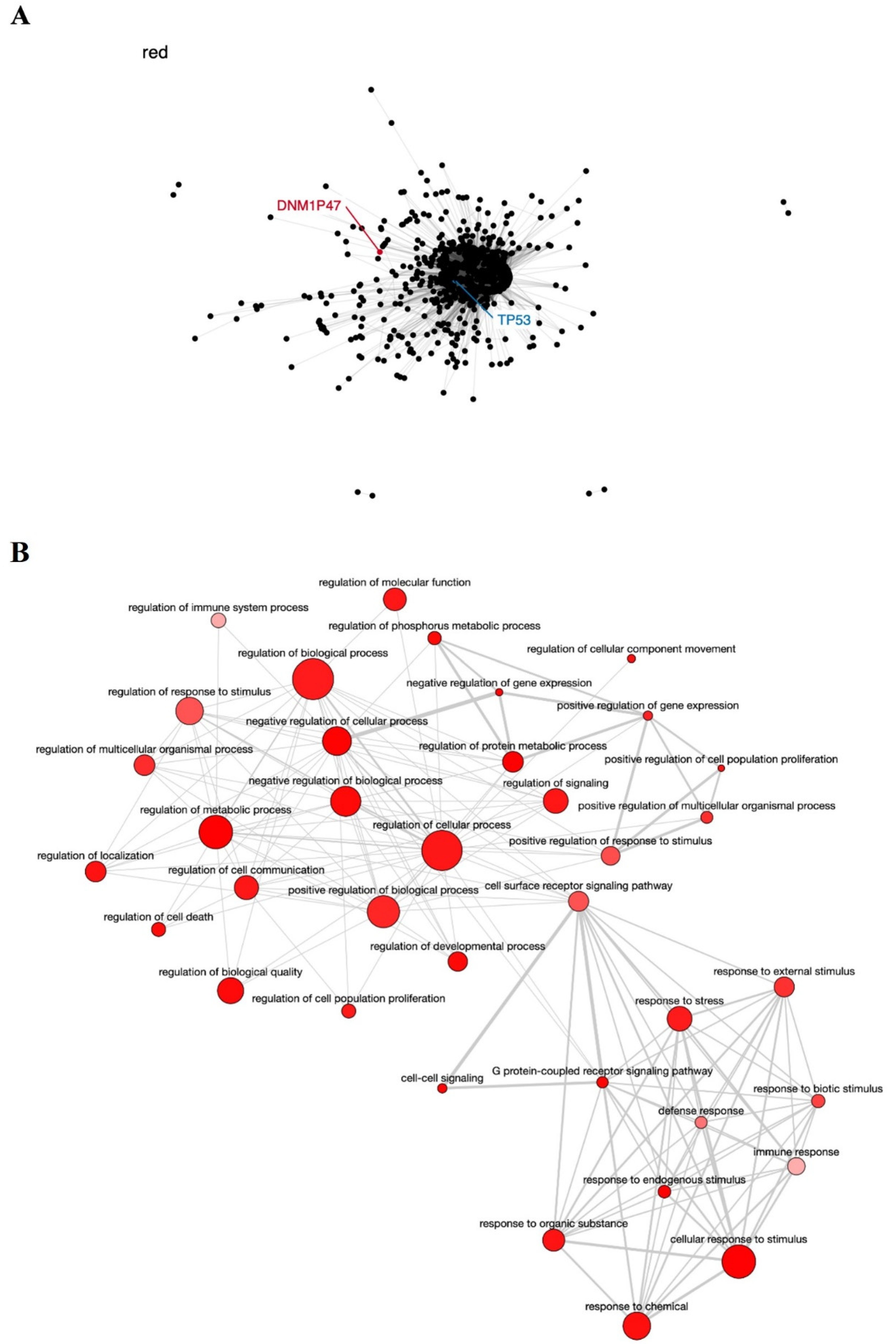 Genes 12 01254 g003 Genes 12 01254 g003