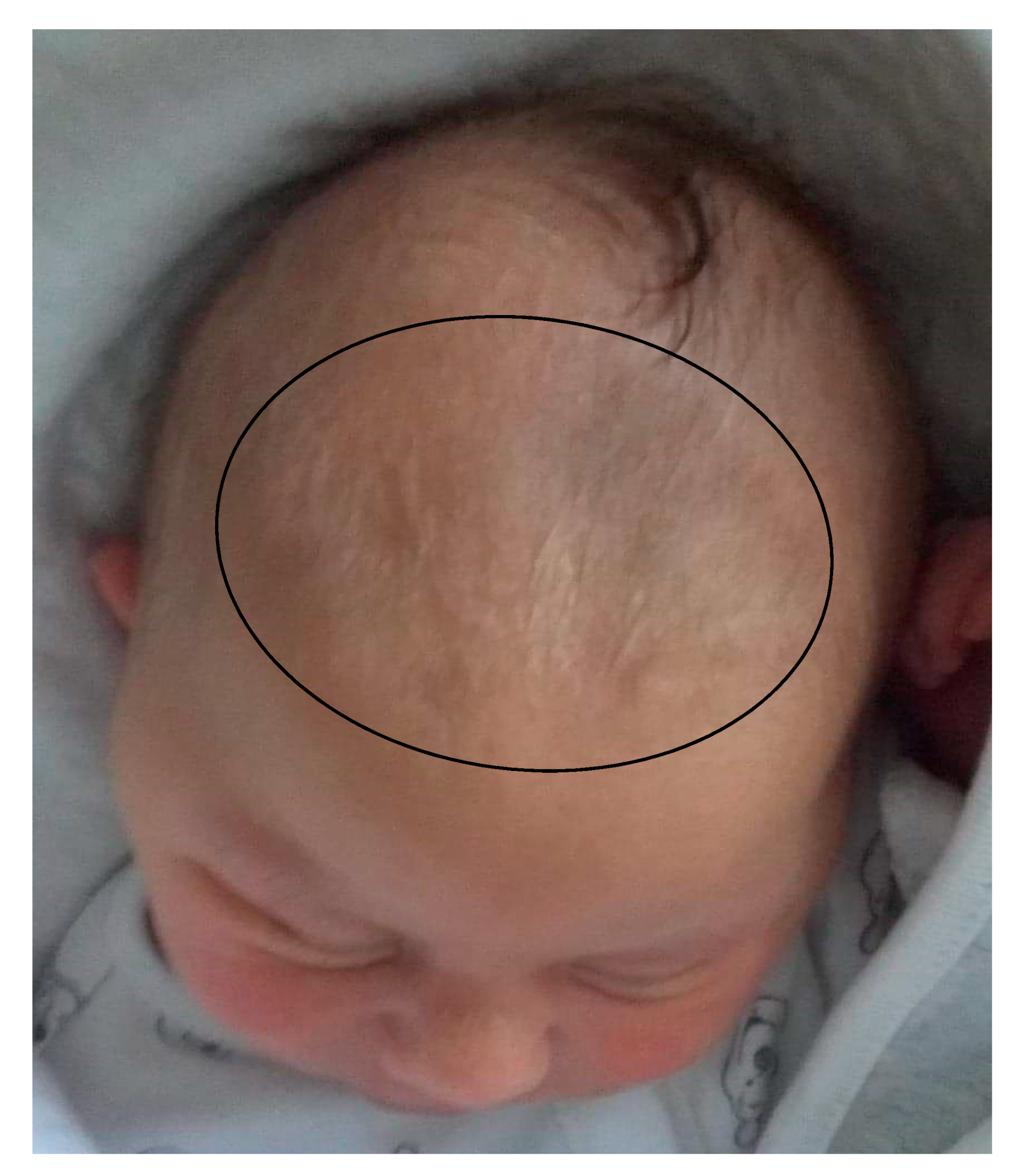 Genes 12 01257 g006