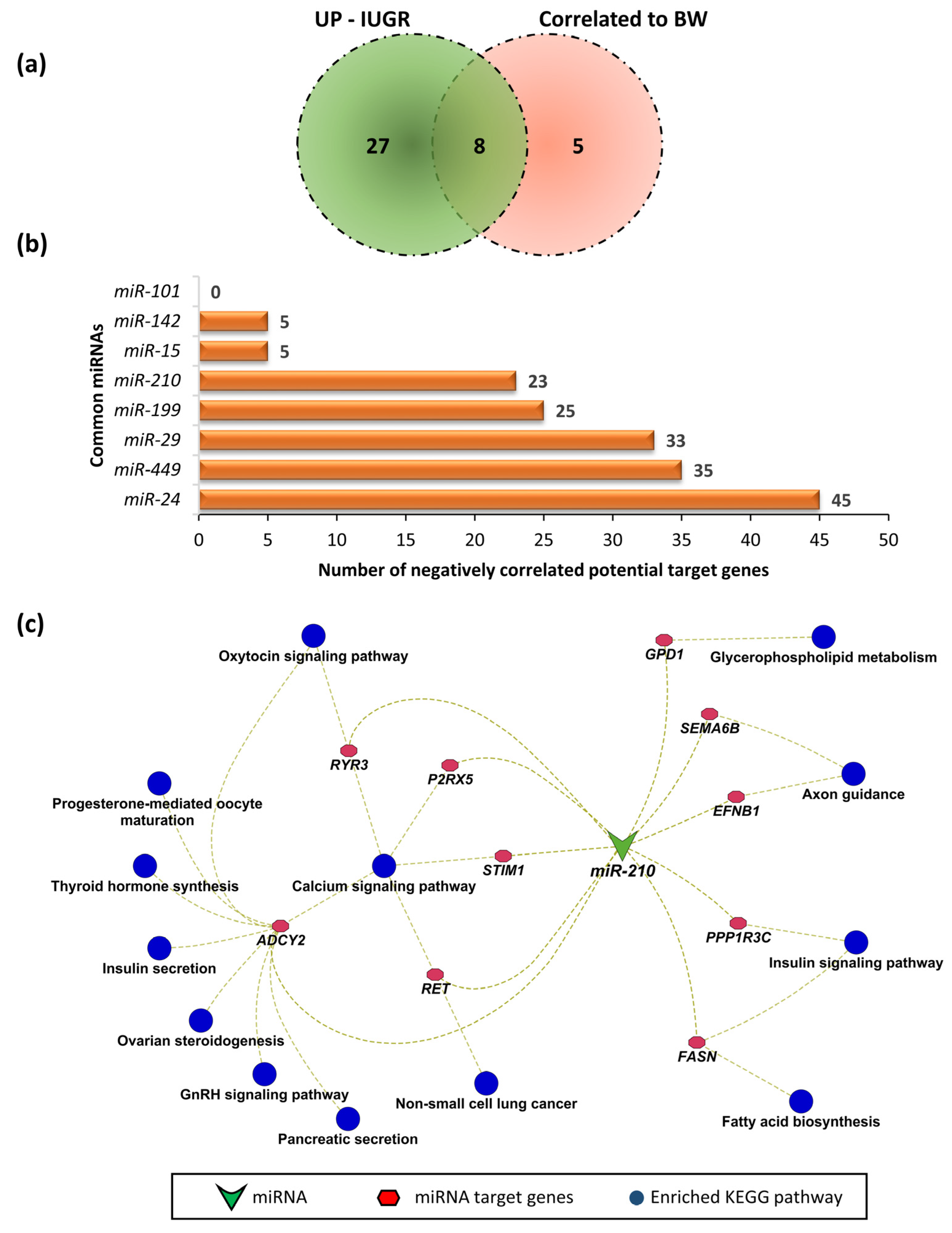 Genes 12 01264 g007