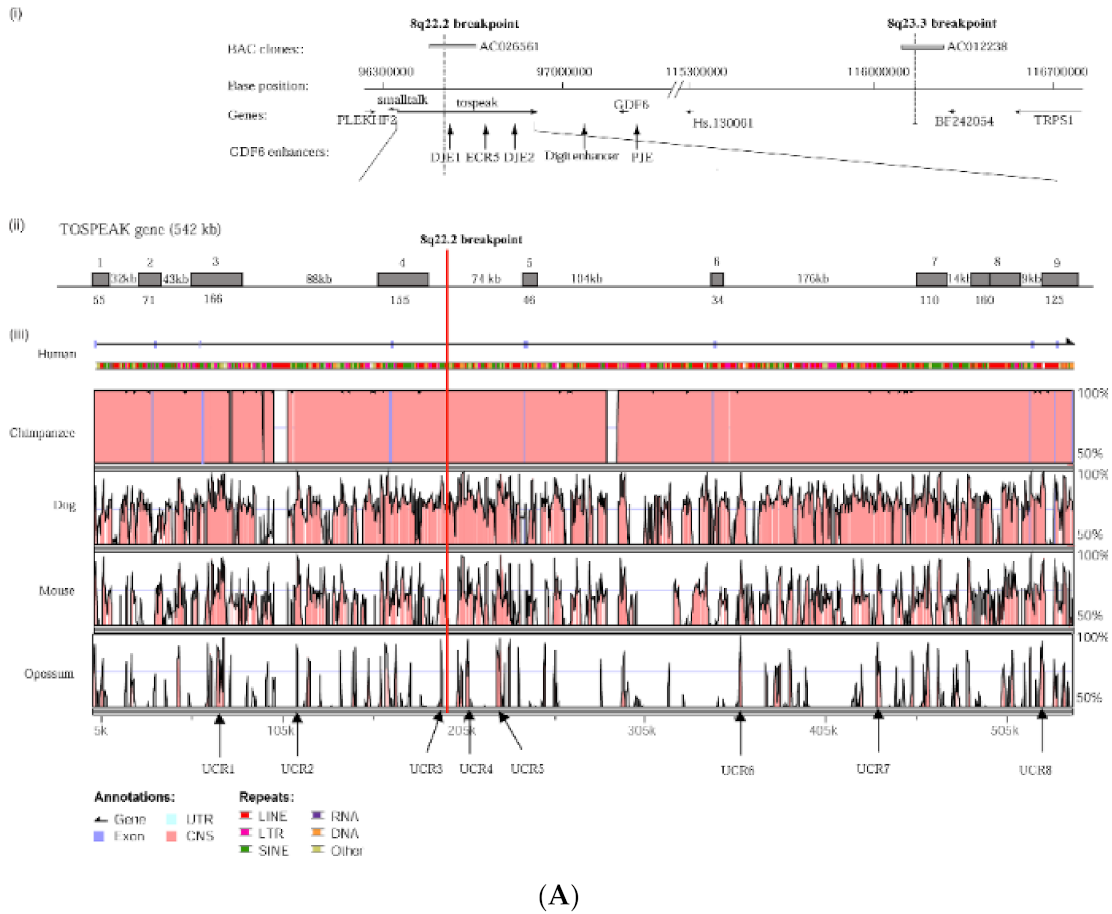 Genes 12 01290 g003a Genes 12 01290 g003a