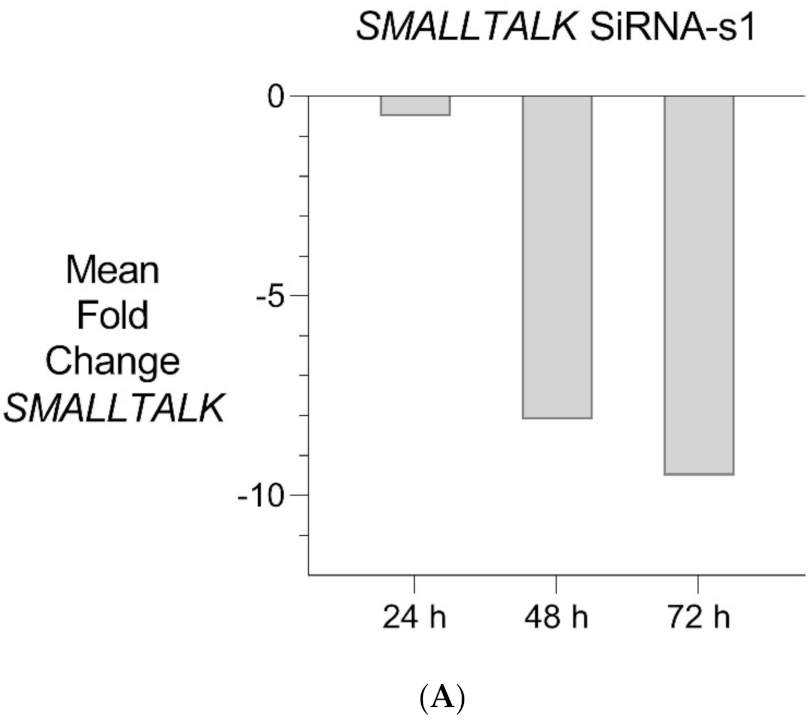 Genes 12 01290 g005a Genes 12 01290 g005a
