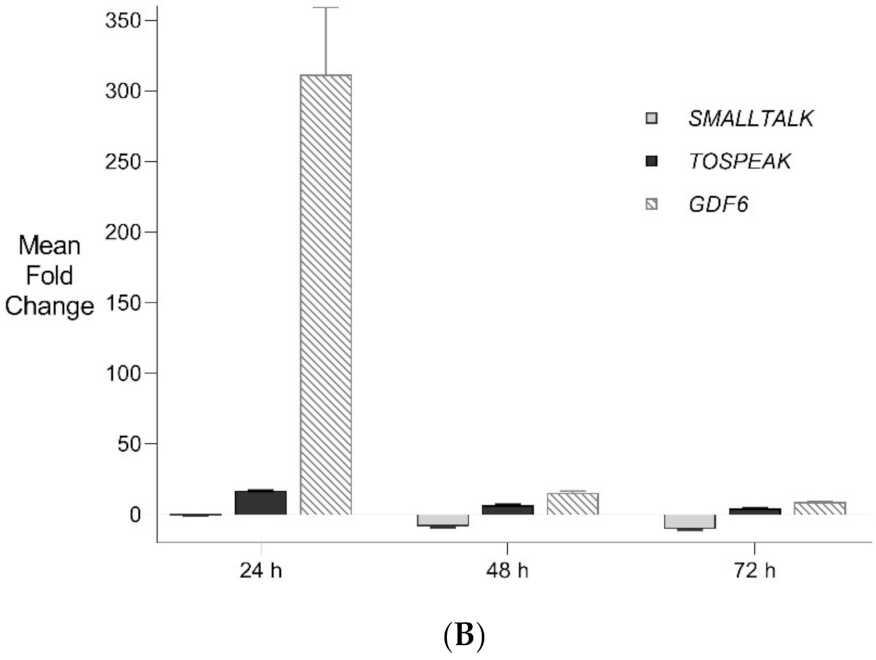 Genes 12 01290 g005b Genes 12 01290 g005b