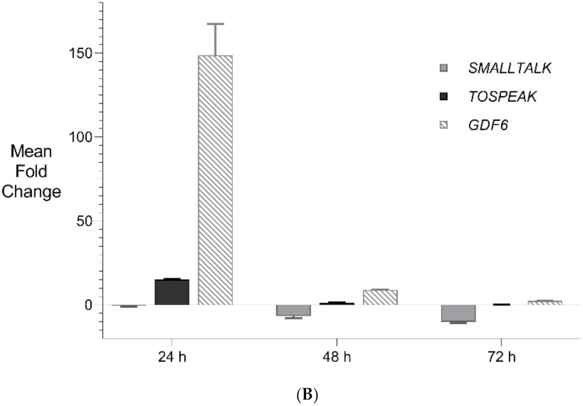 Genes 12 01290 g006b Genes 12 01290 g006b