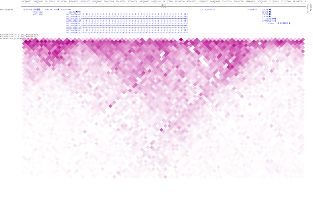 Genes 12 01290 g008 Genes 12 01290 g008