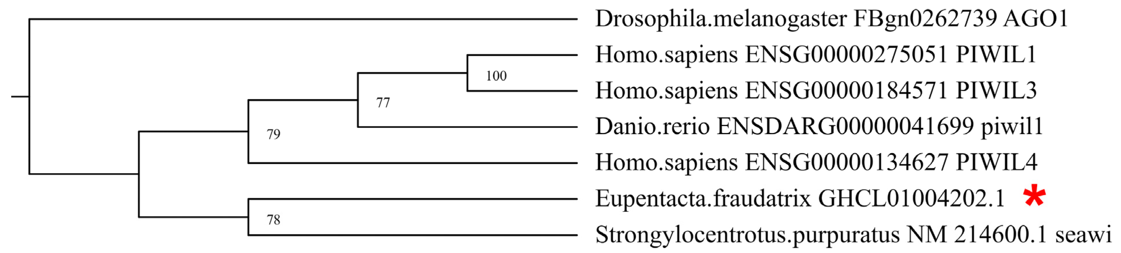 Genes 12 01292 g001