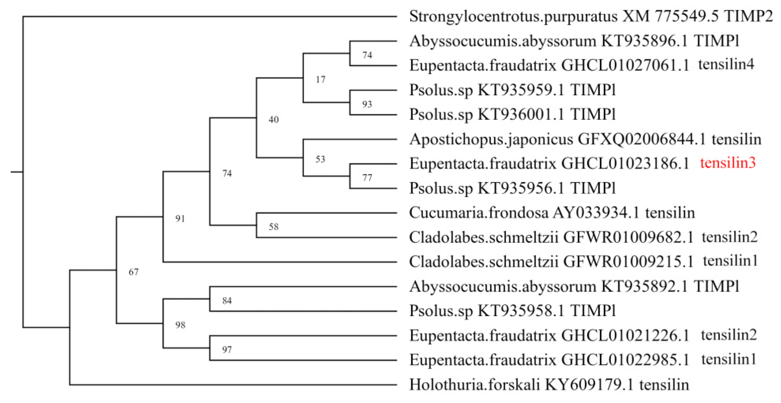 Genes 12 01292 g002