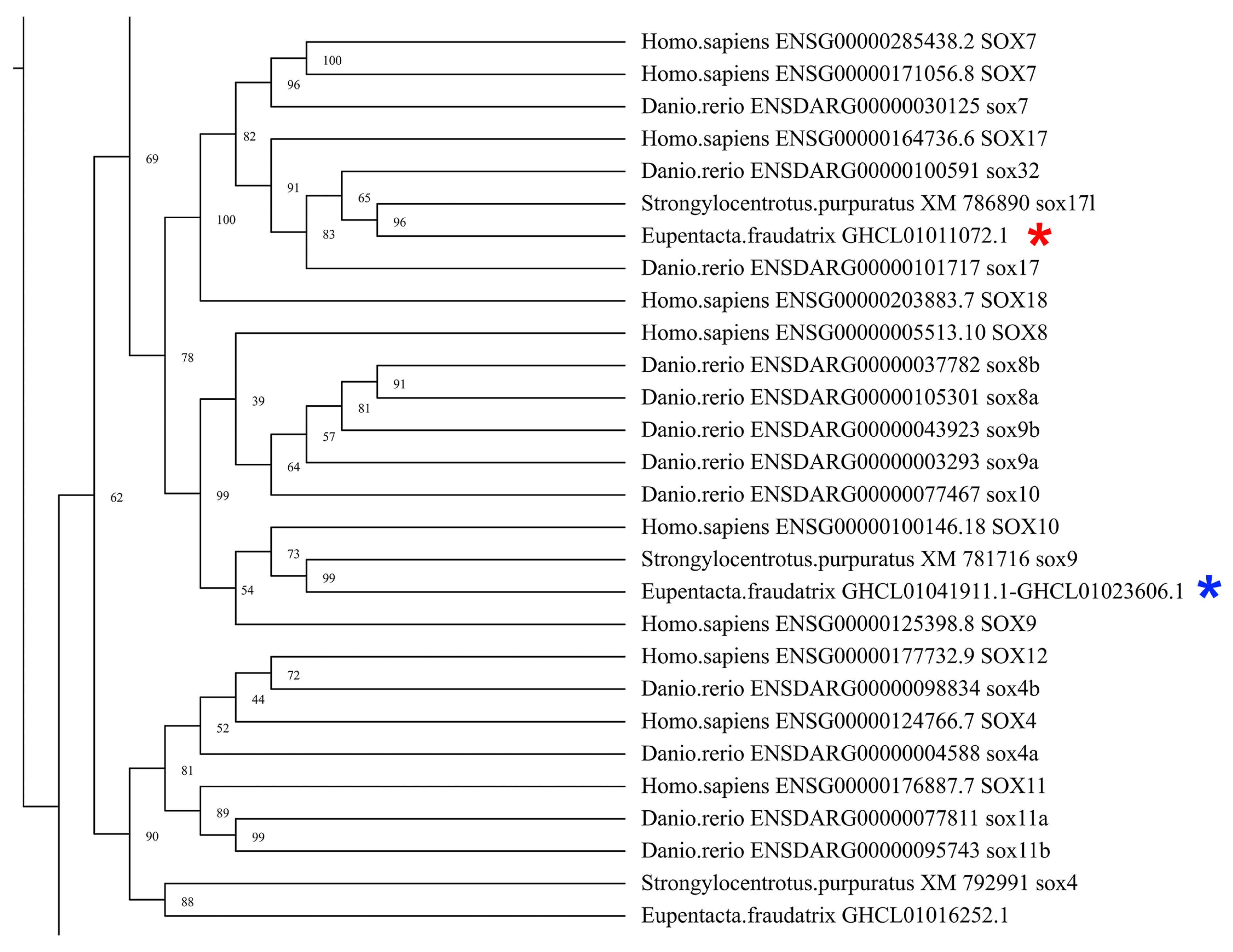 Genes 12 01292 g003