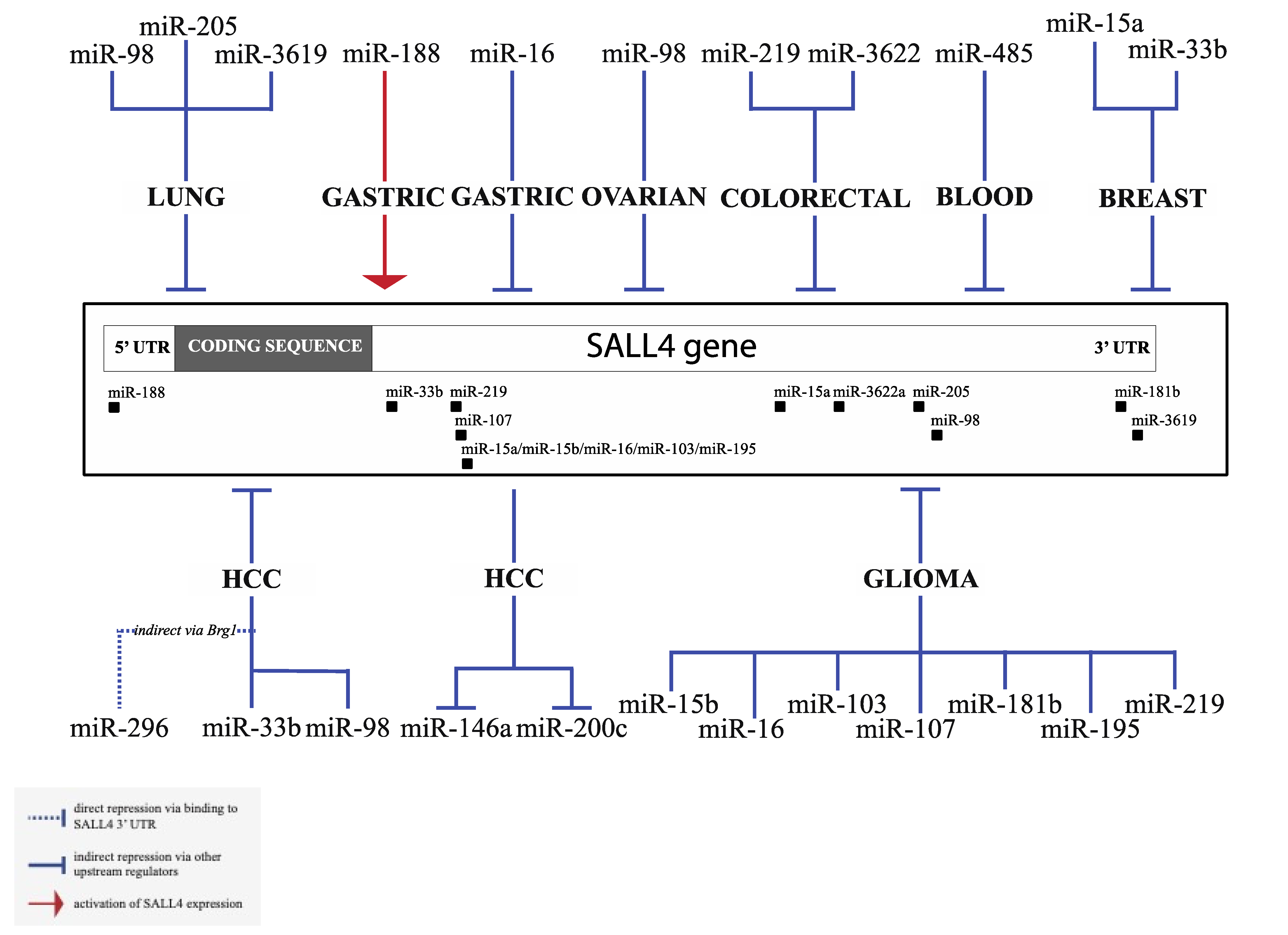 Genes 12 01301 g002