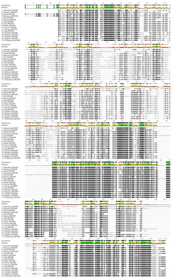 Genes 12 01320 g0a2 550