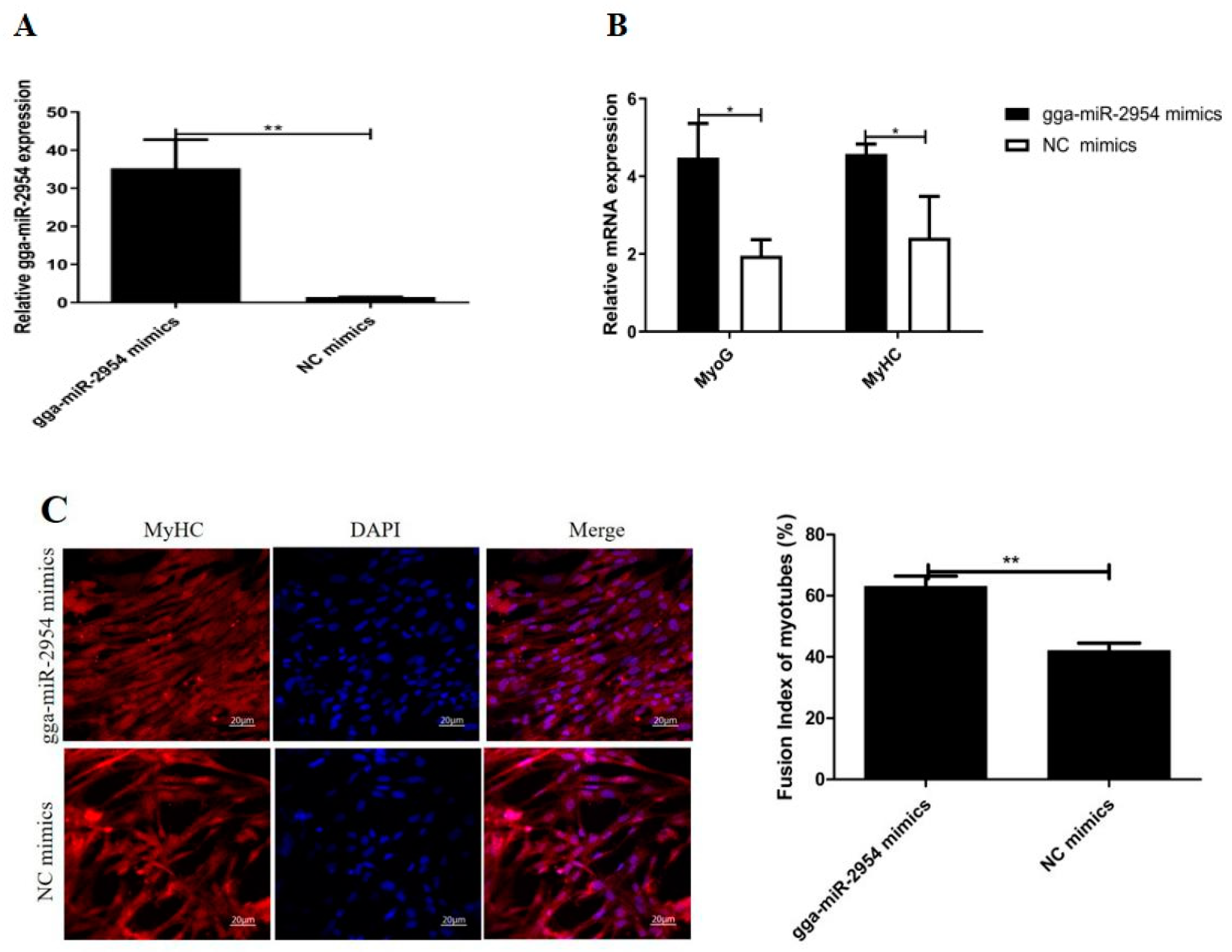 Genes 12 01325 g004a