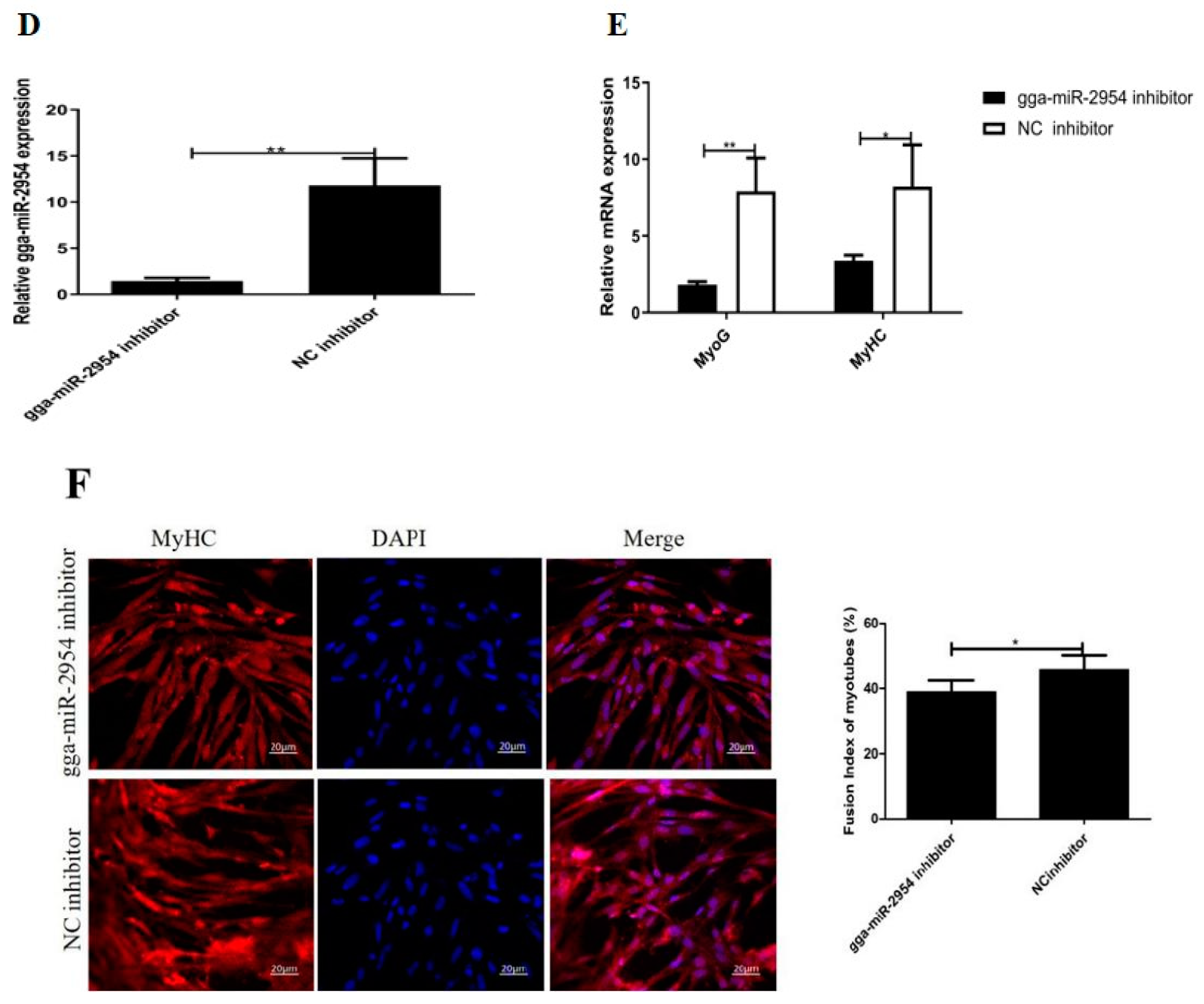Genes 12 01325 g004b