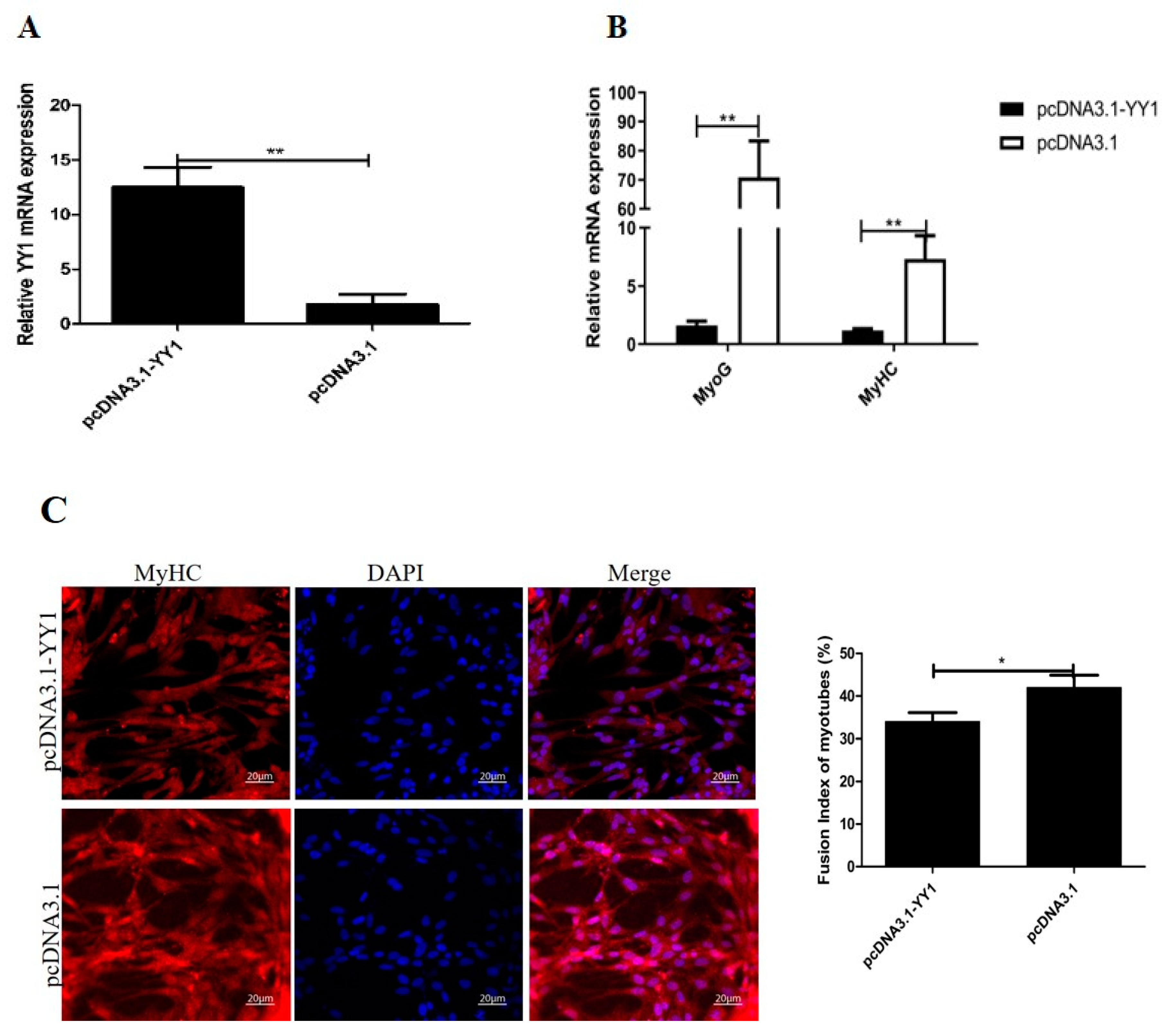 Genes 12 01325 g007a