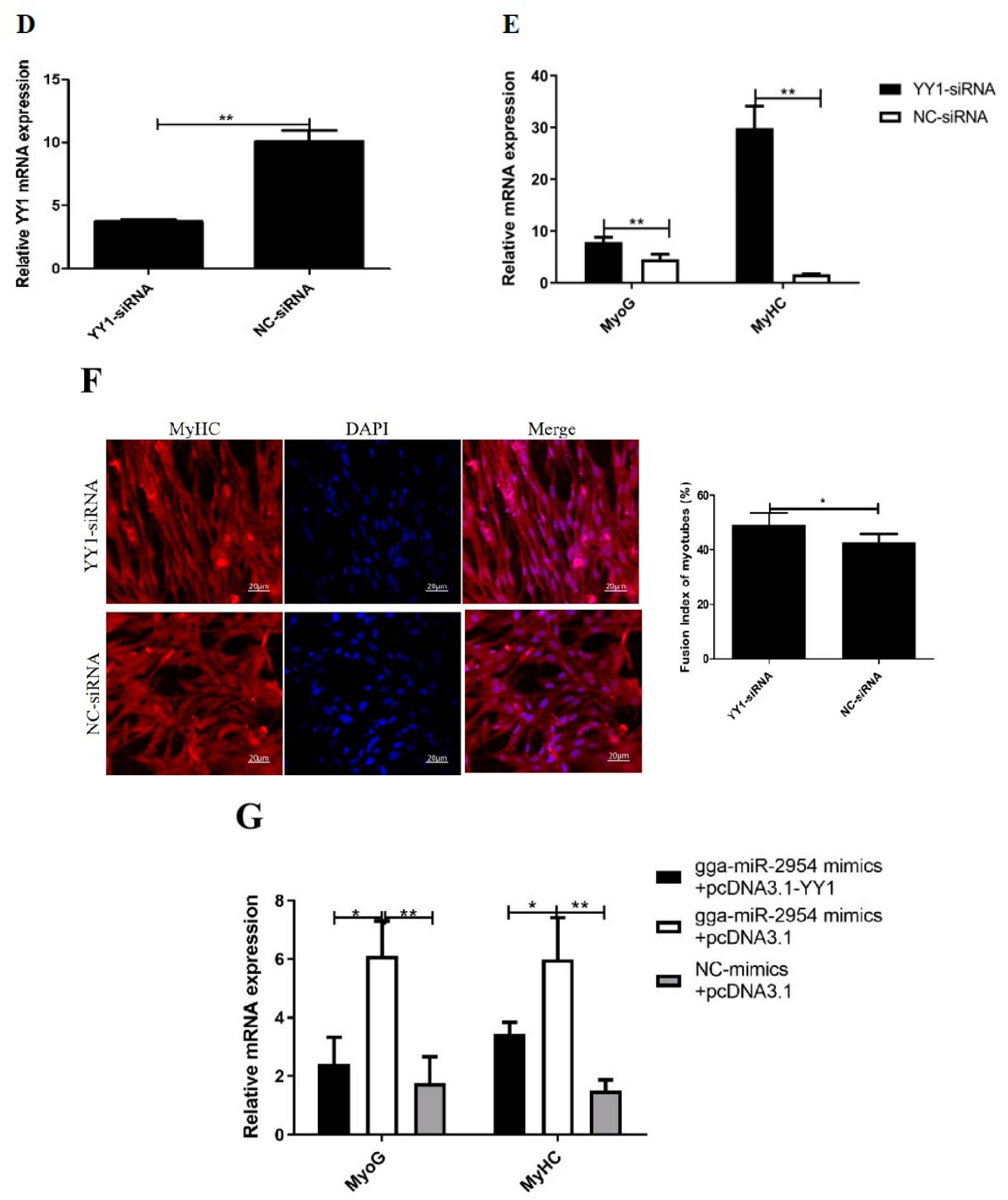 Genes 12 01325 g007b