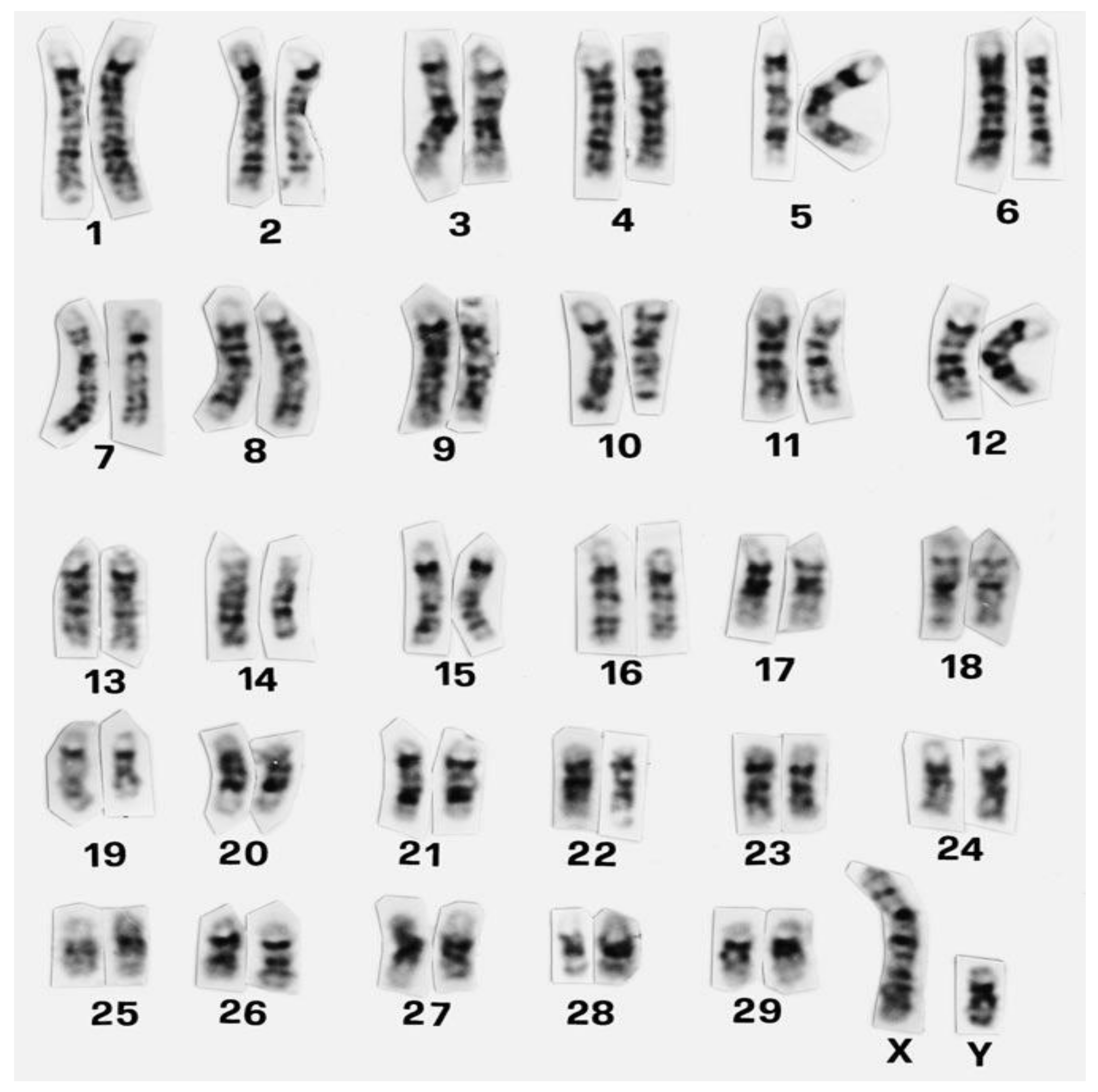 Genes 12 01330 g001