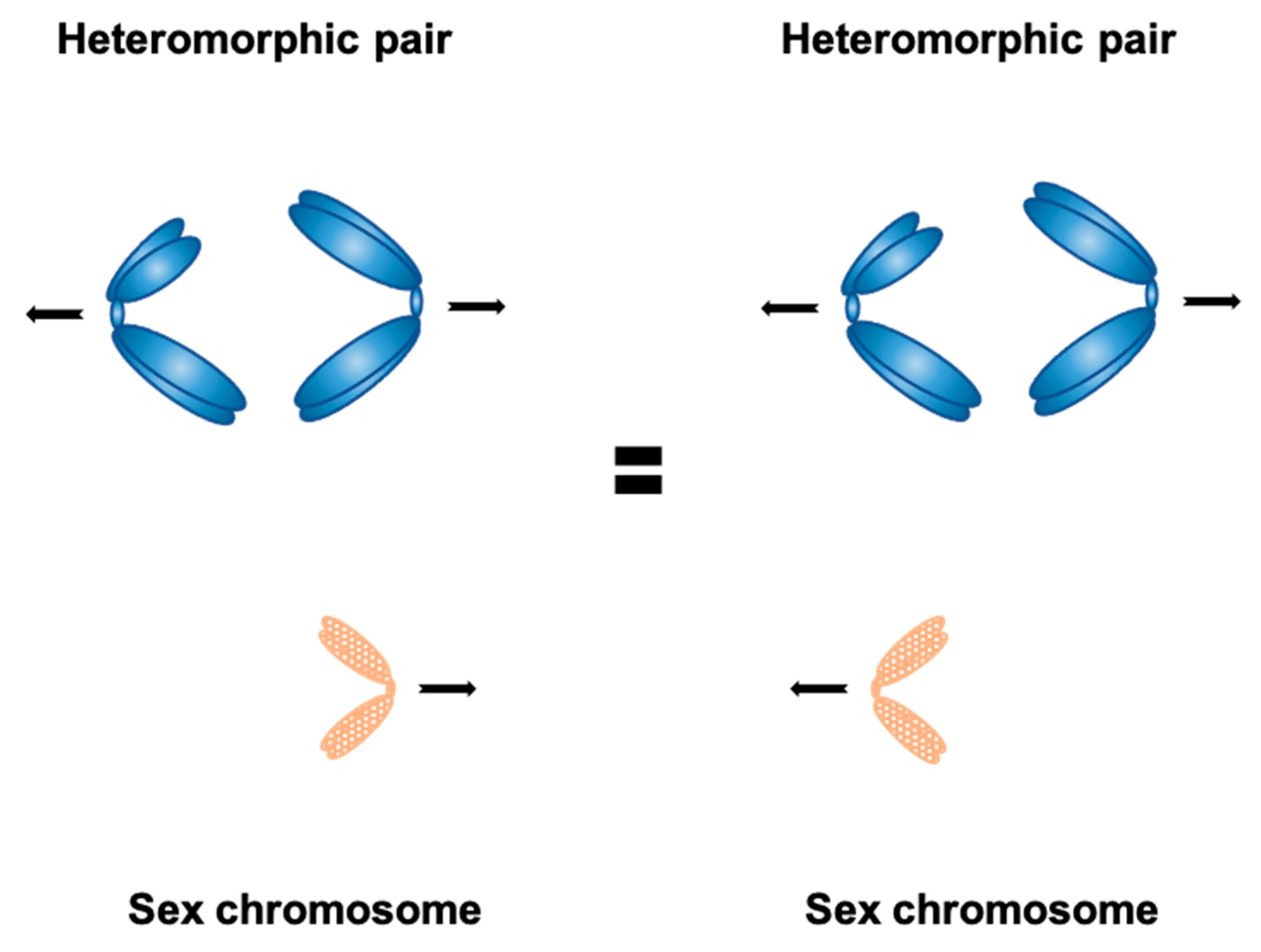Genes 12 01338 g001 Genes 12 01338 g001