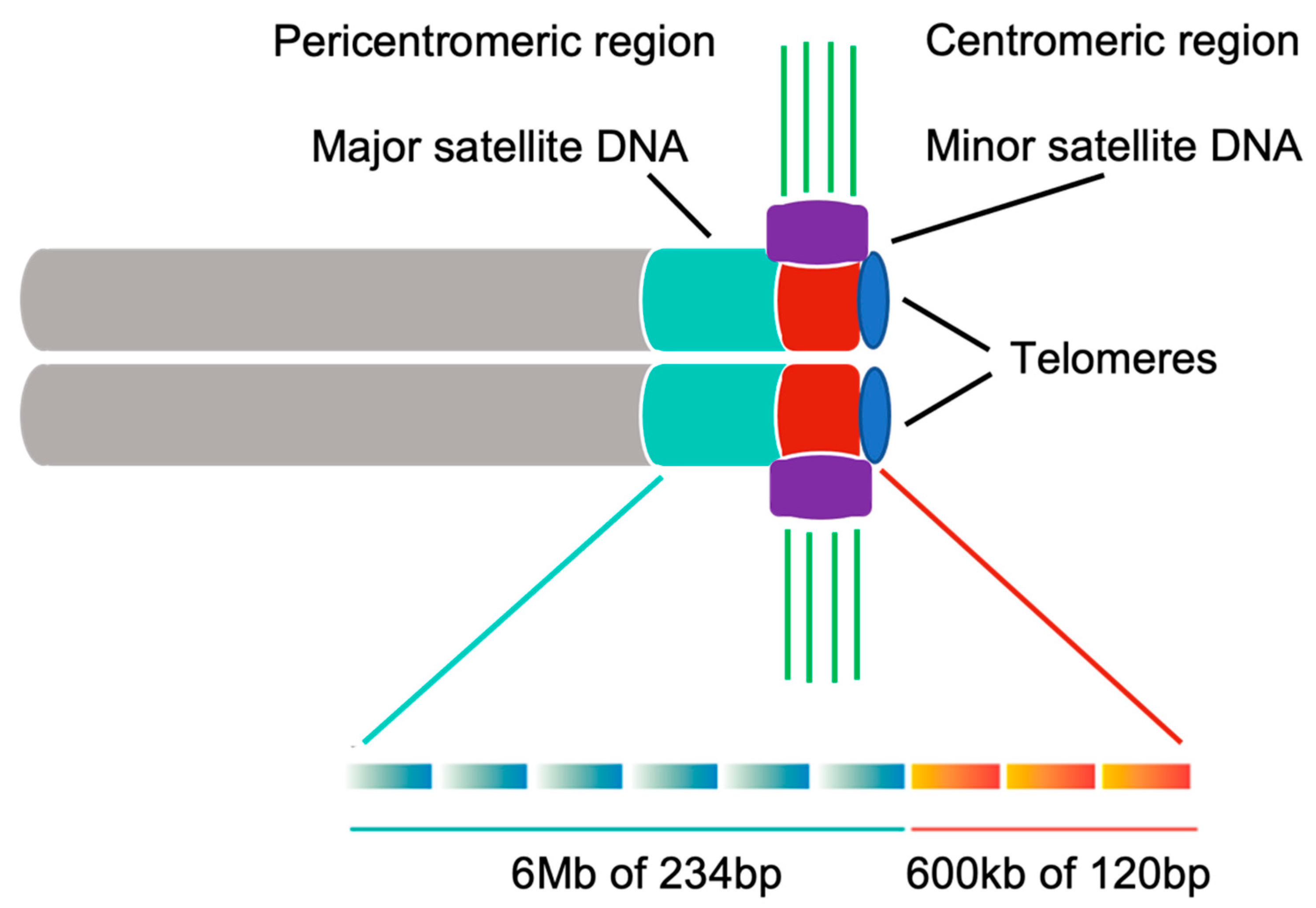 Genes 12 01338 g002 Genes 12 01338 g002