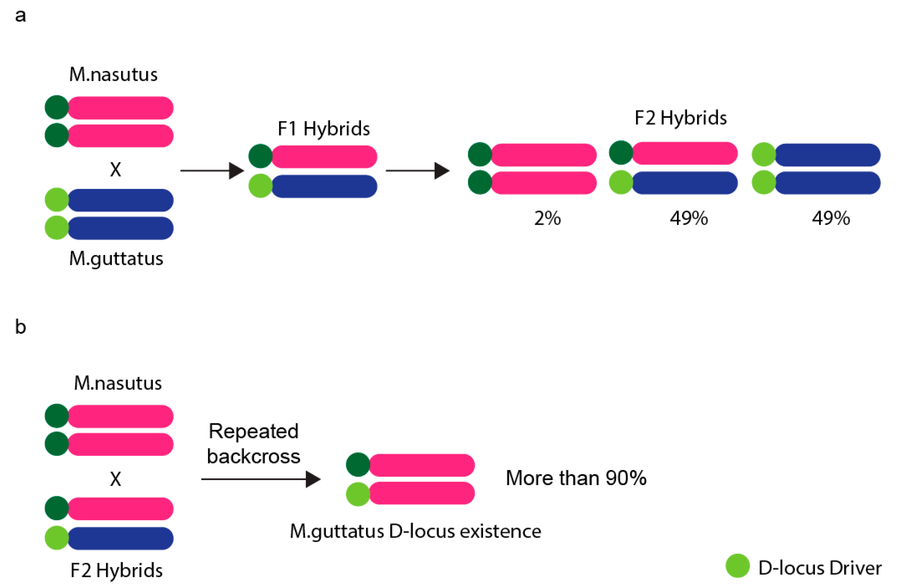 Genes 12 01338 g004 Genes 12 01338 g004