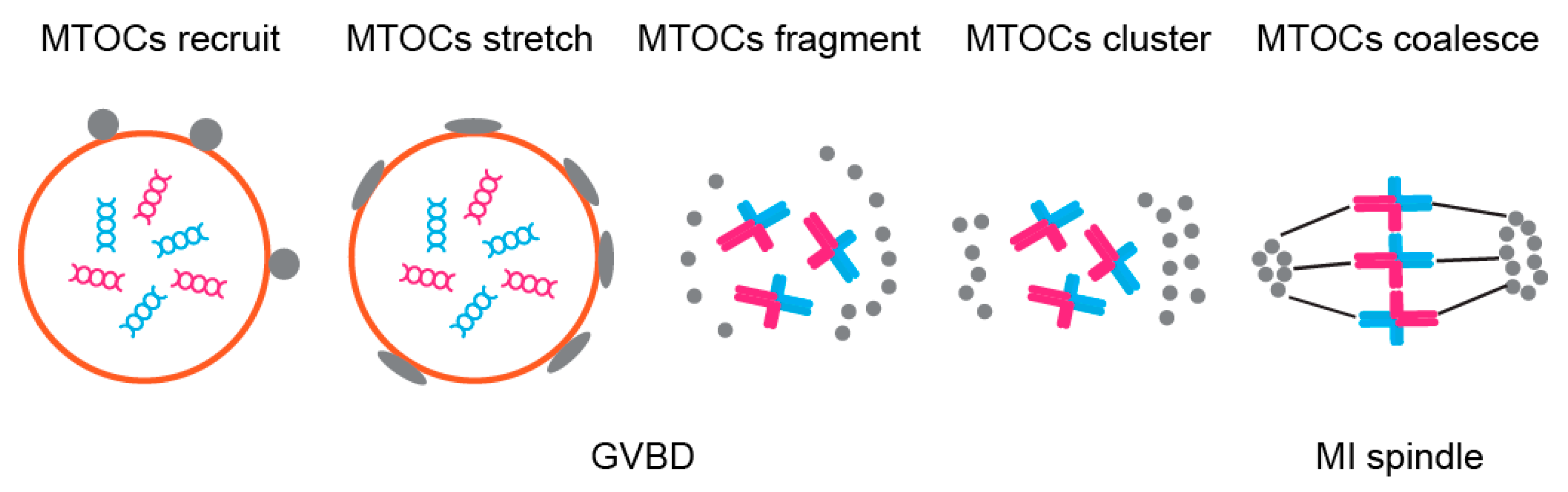 Genes 12 01338 g006 Genes 12 01338 g006