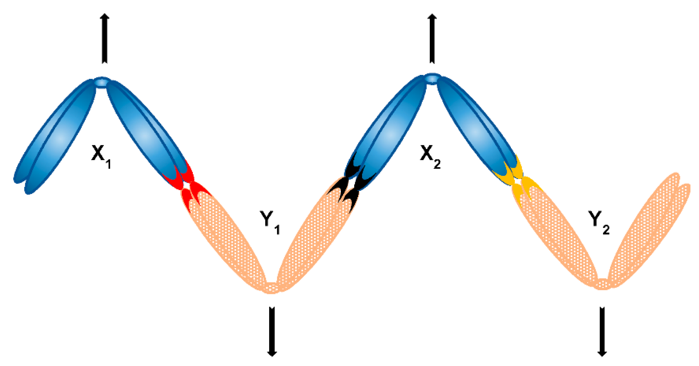 Genes 12 01338 g007 Genes 12 01338 g007