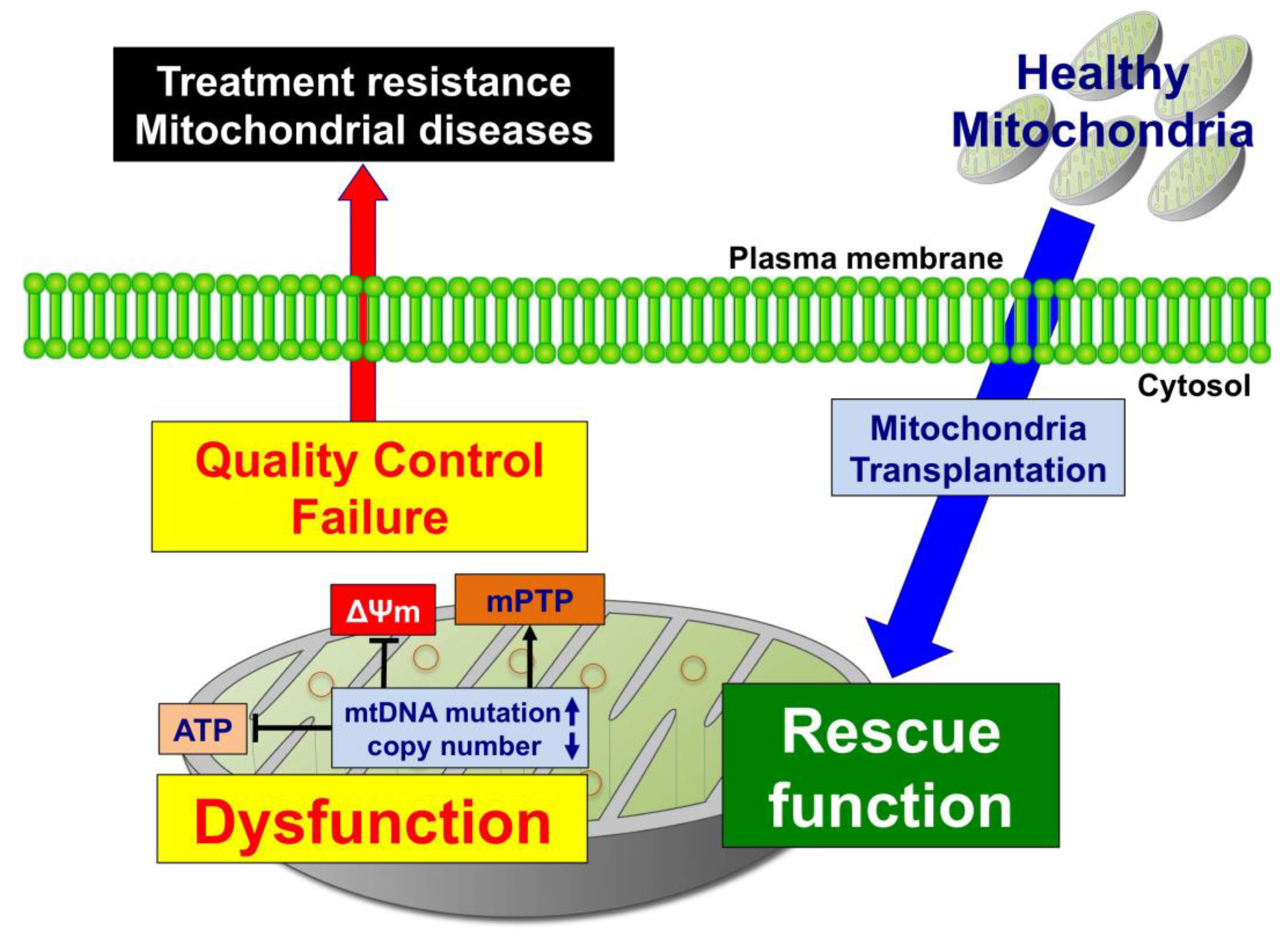 Genes 12 01348 g003