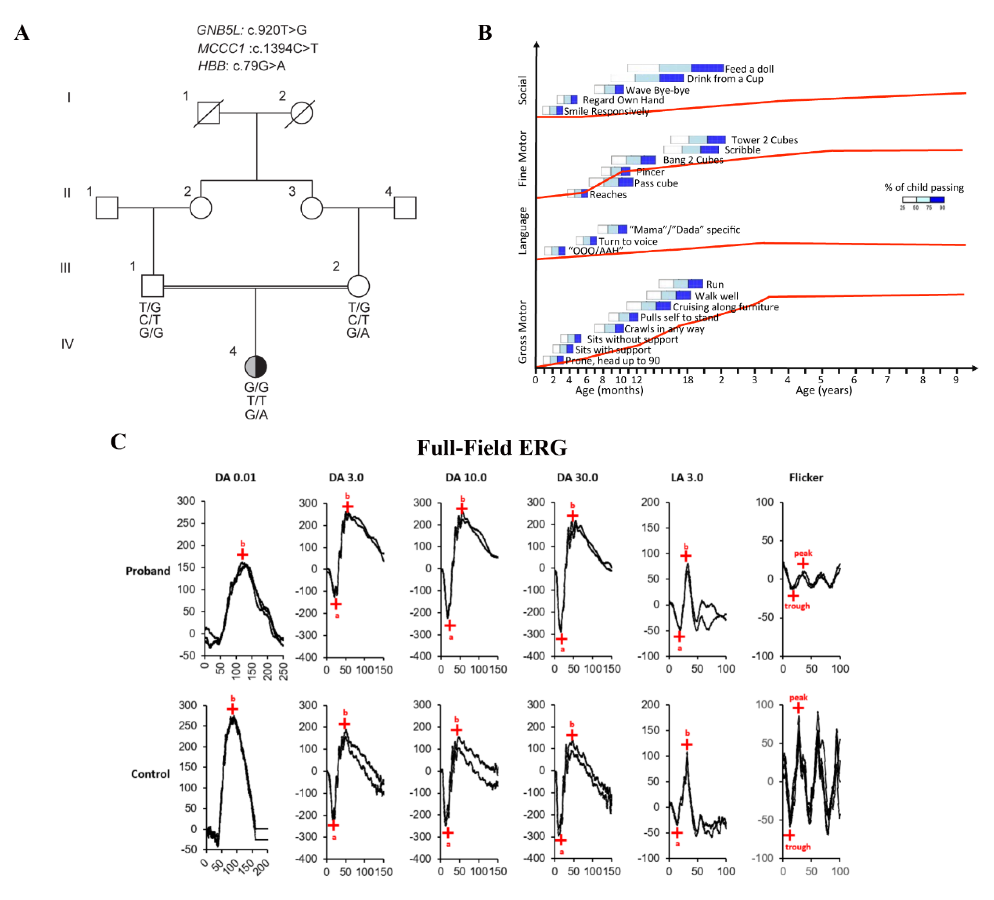 Genes 12 01352 g001a