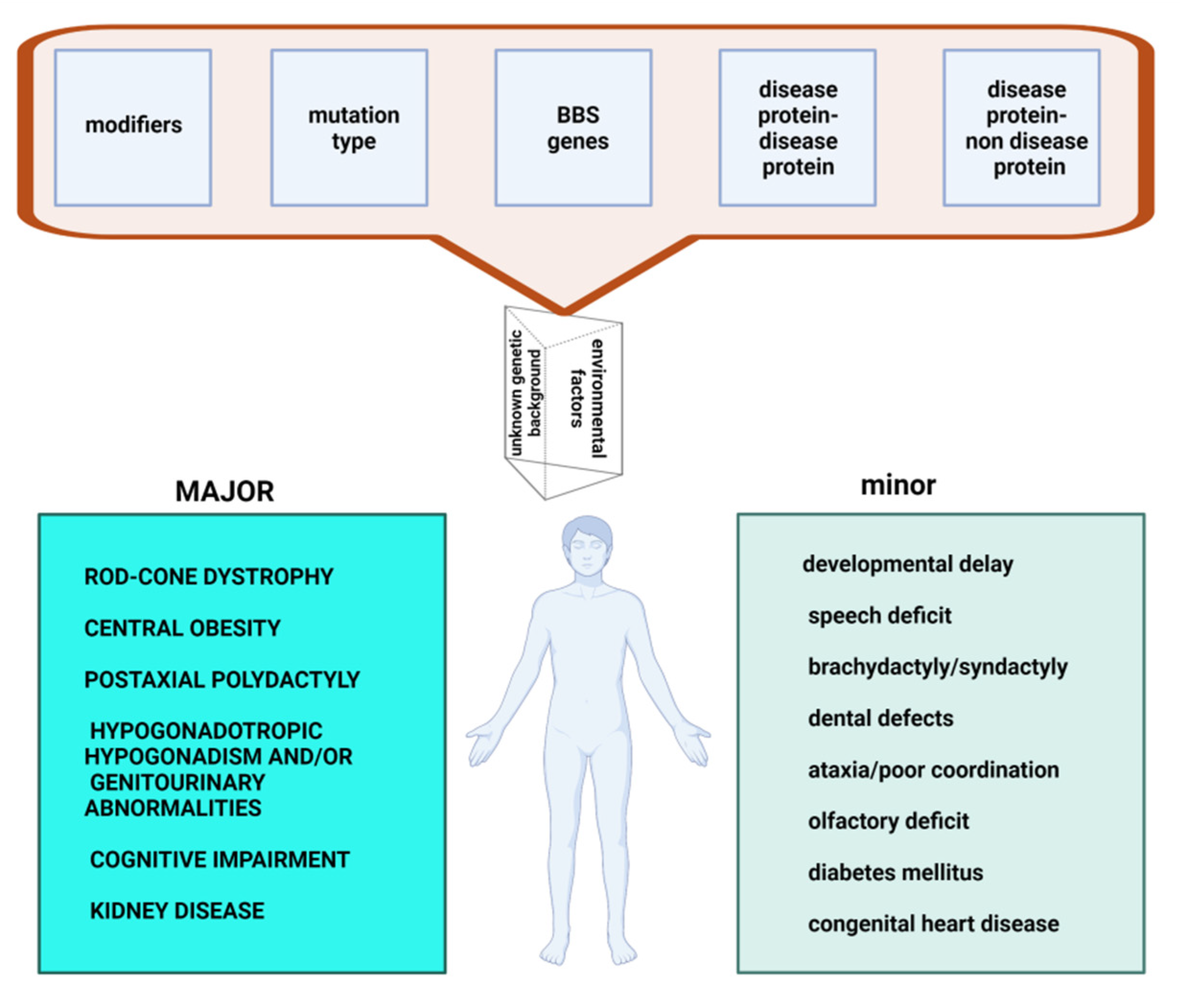 Genes 12 01353 g001