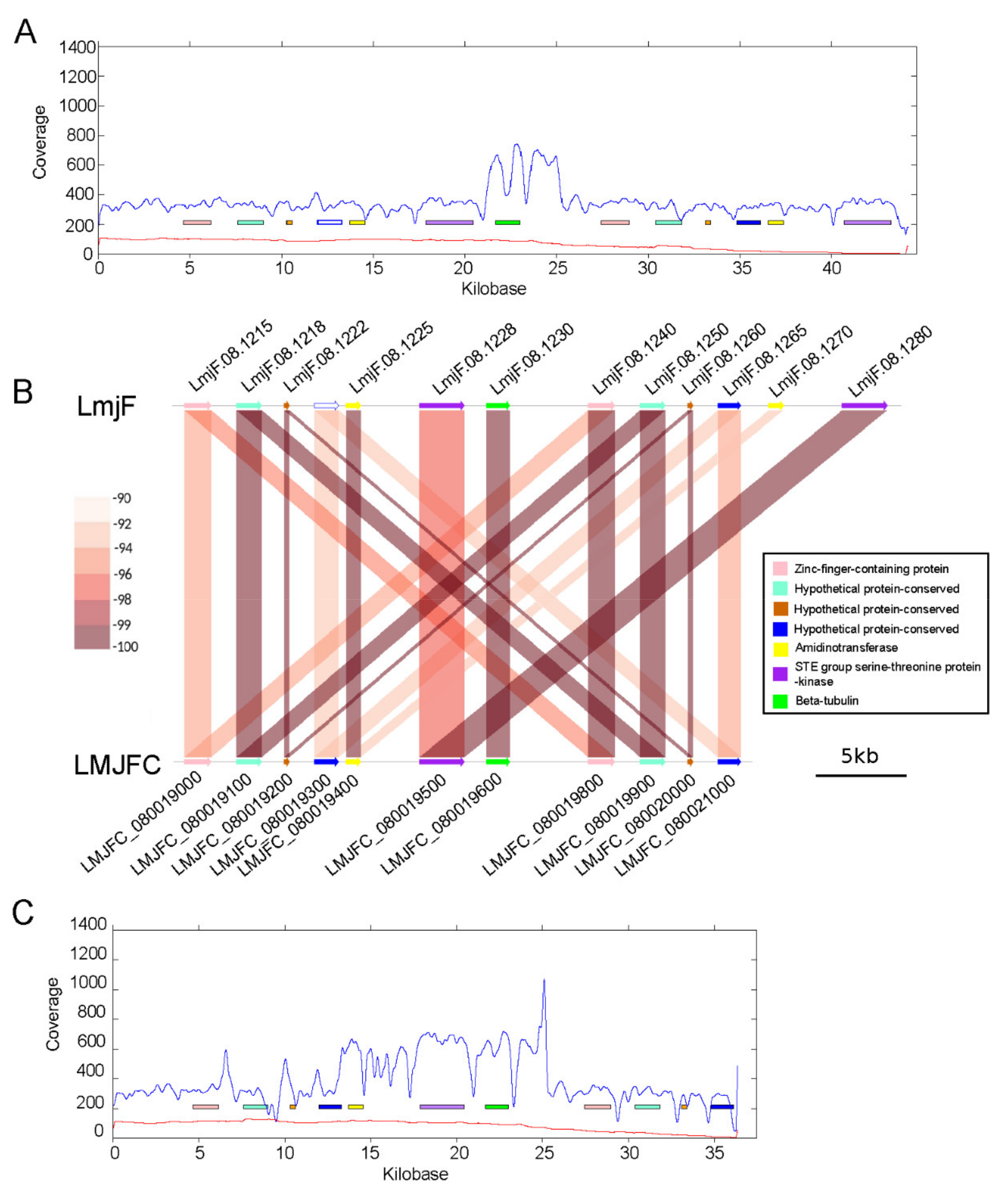 Genes 12 01359 g006