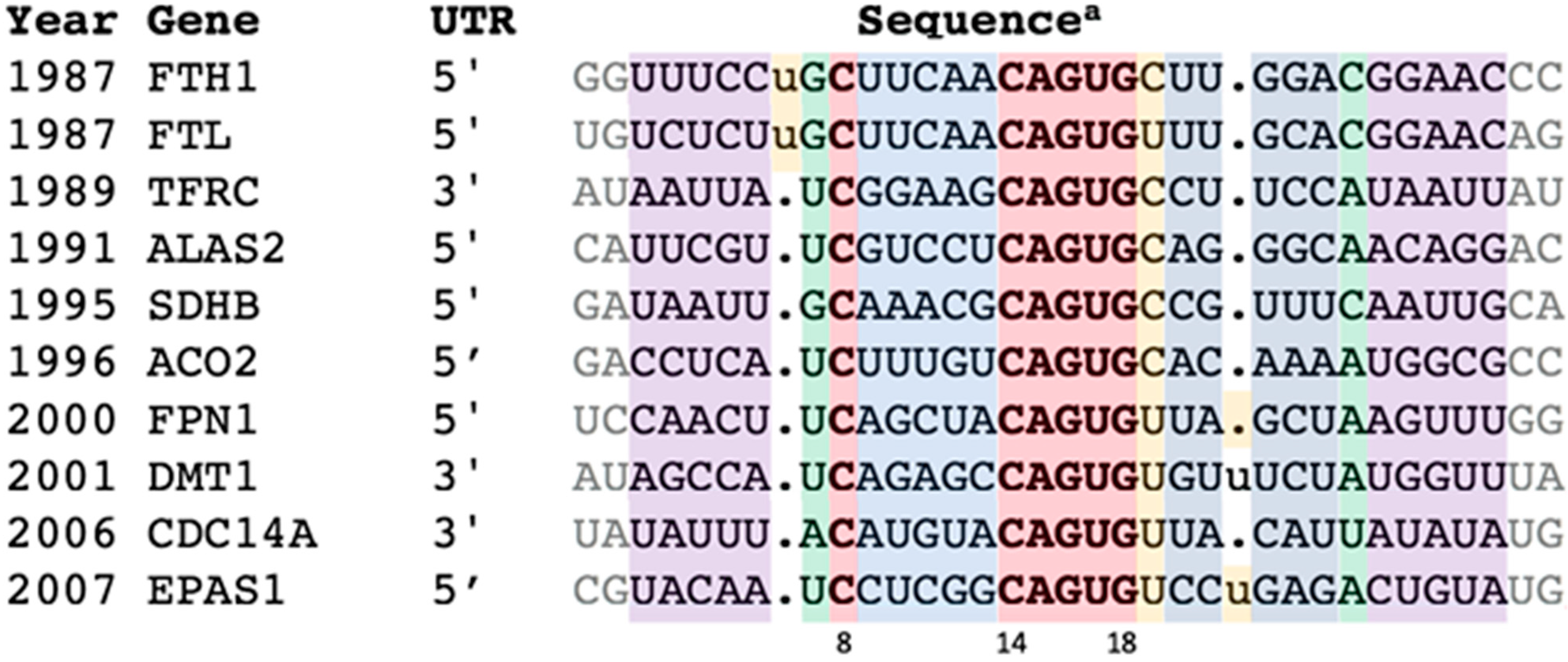 Genes 12 01365 g001