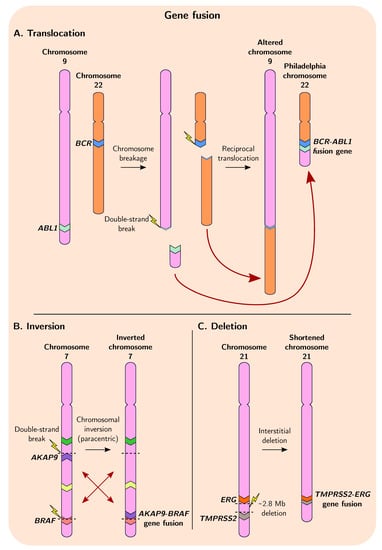Genes 12 01376 g002