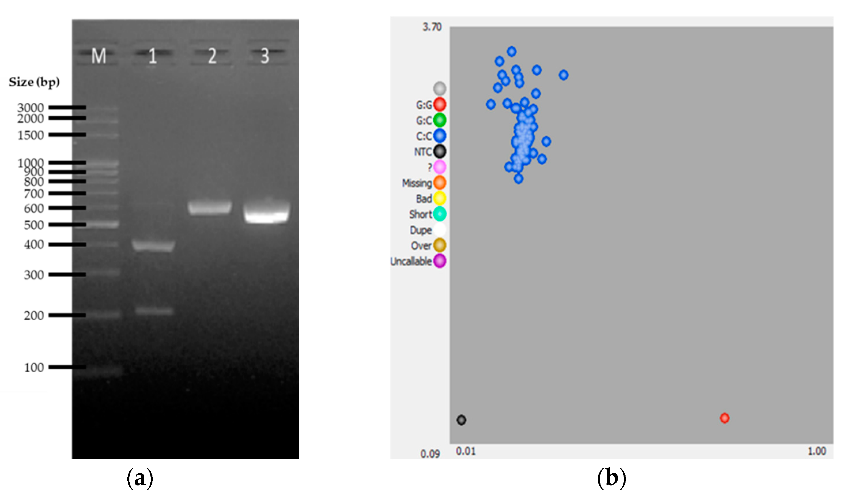 Genes 12 01383 g002