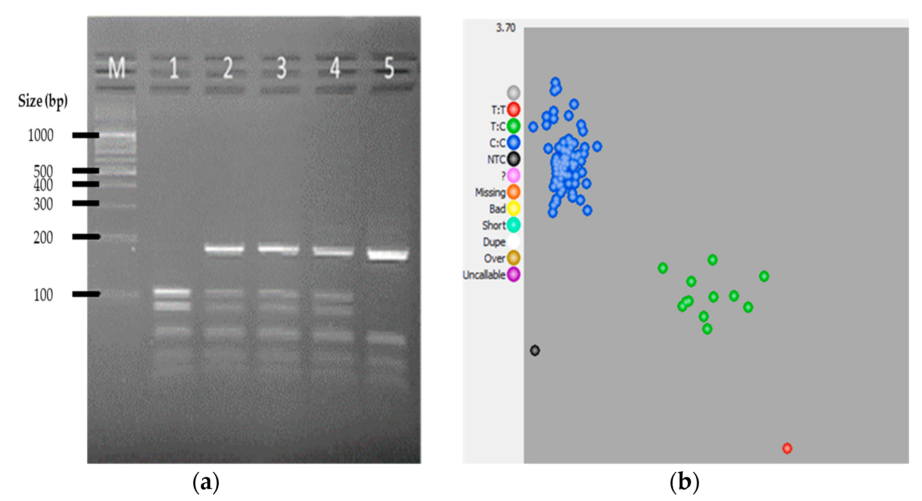 Genes 12 01383 g004