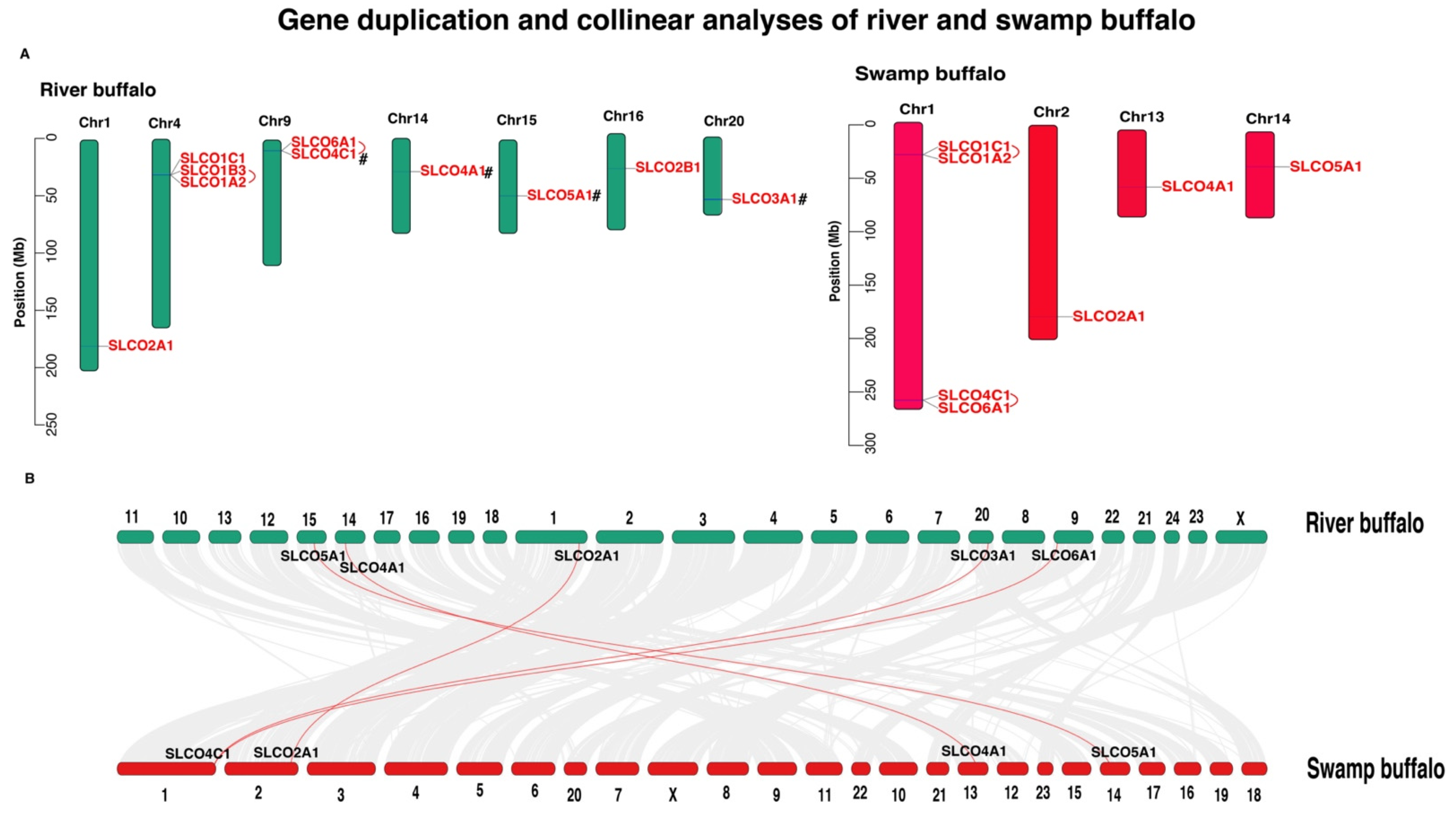 Genes 12 01394 g002 Genes 12 01394 g002