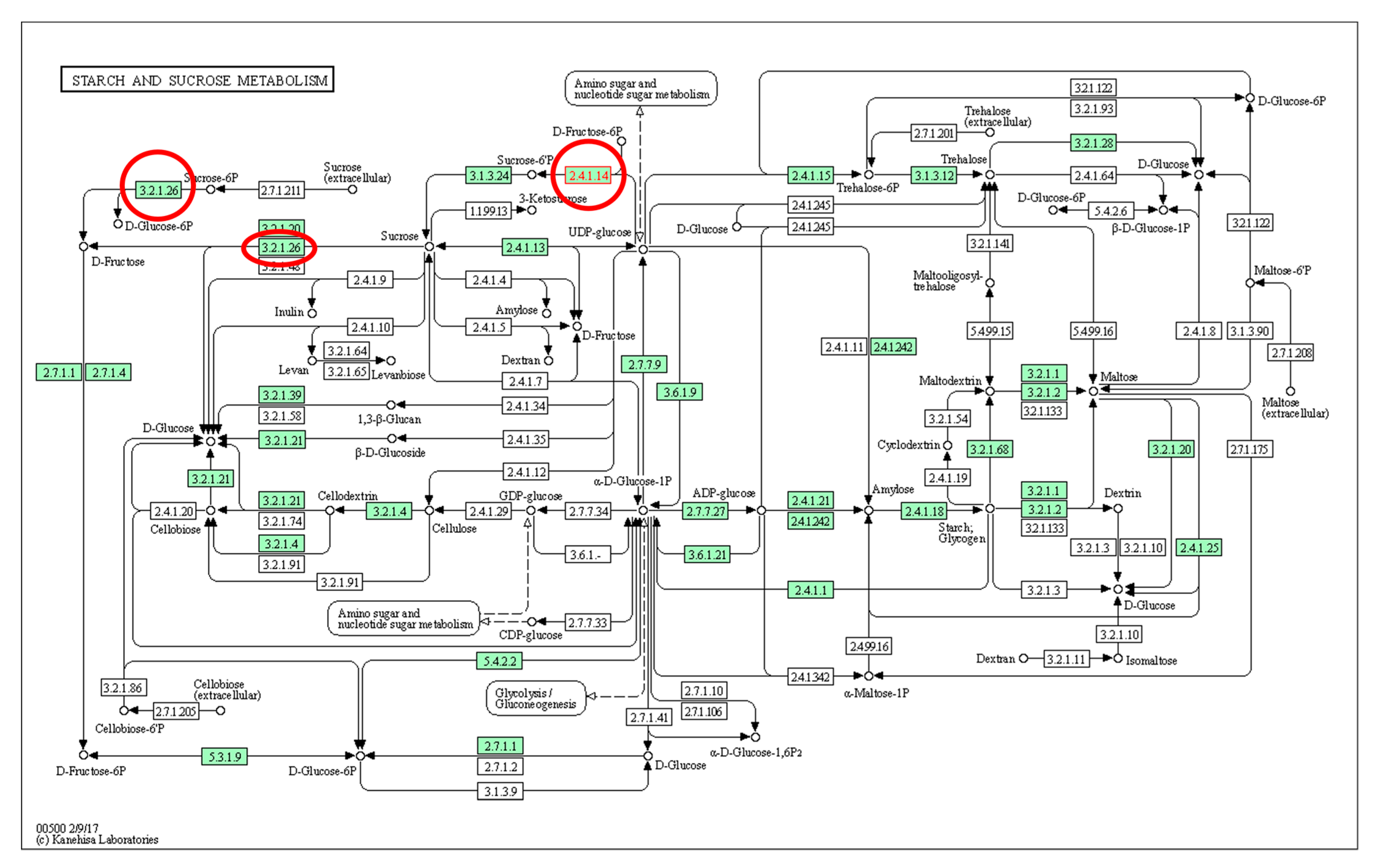 Genes 12 01416 g002 Genes 12 01416 g002