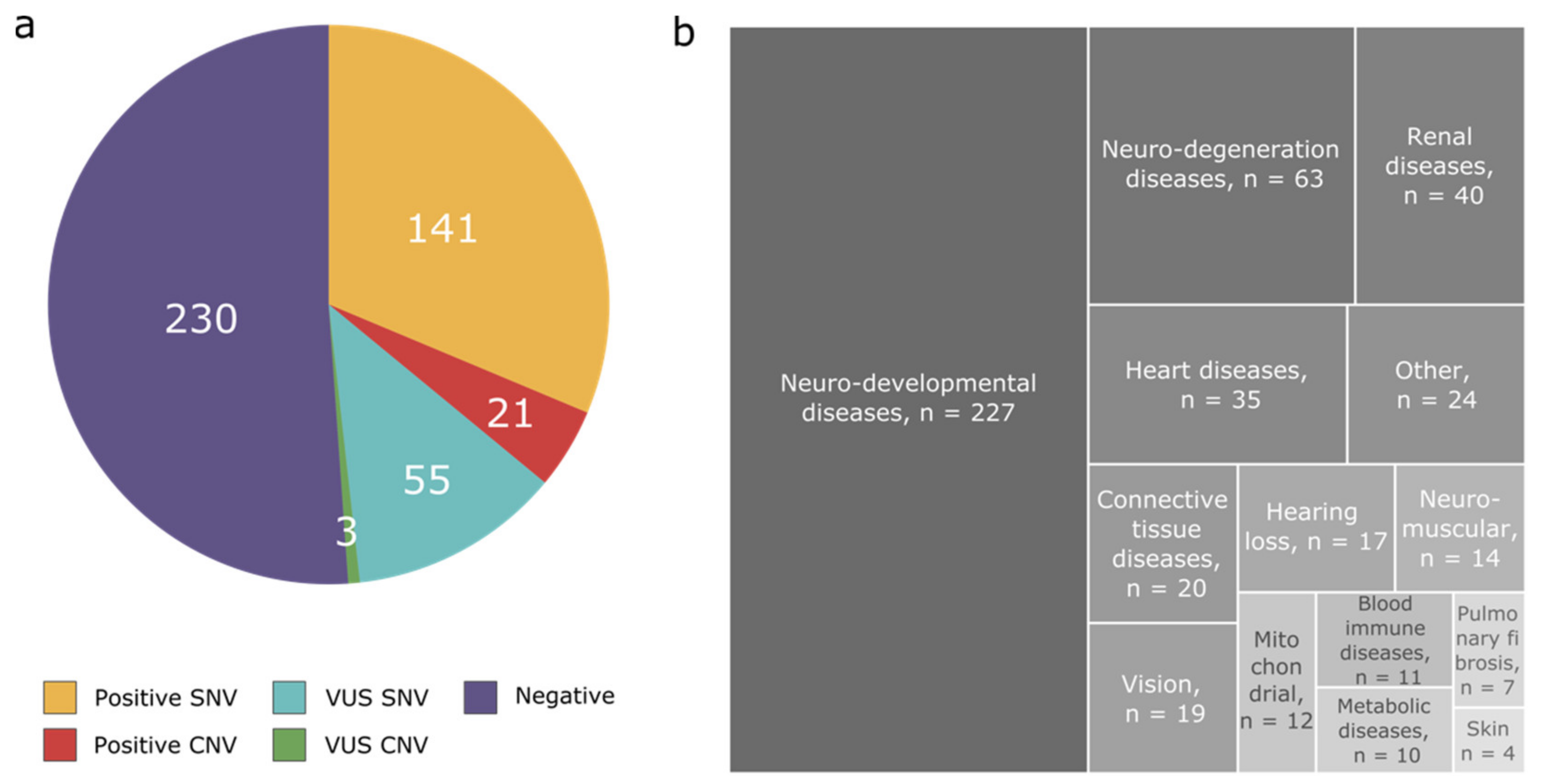 Genes 12 01427 g001