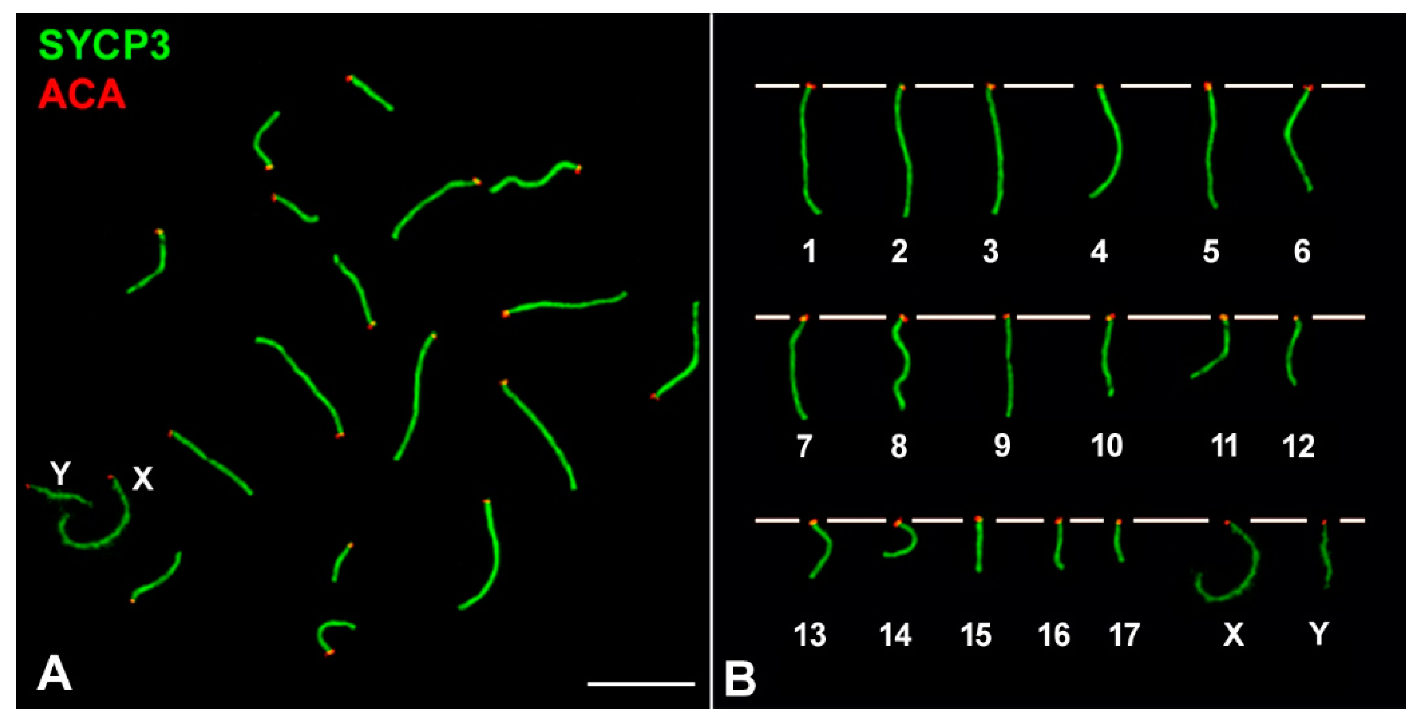 Genes 12 01434 g001 Genes 12 01434 g001
