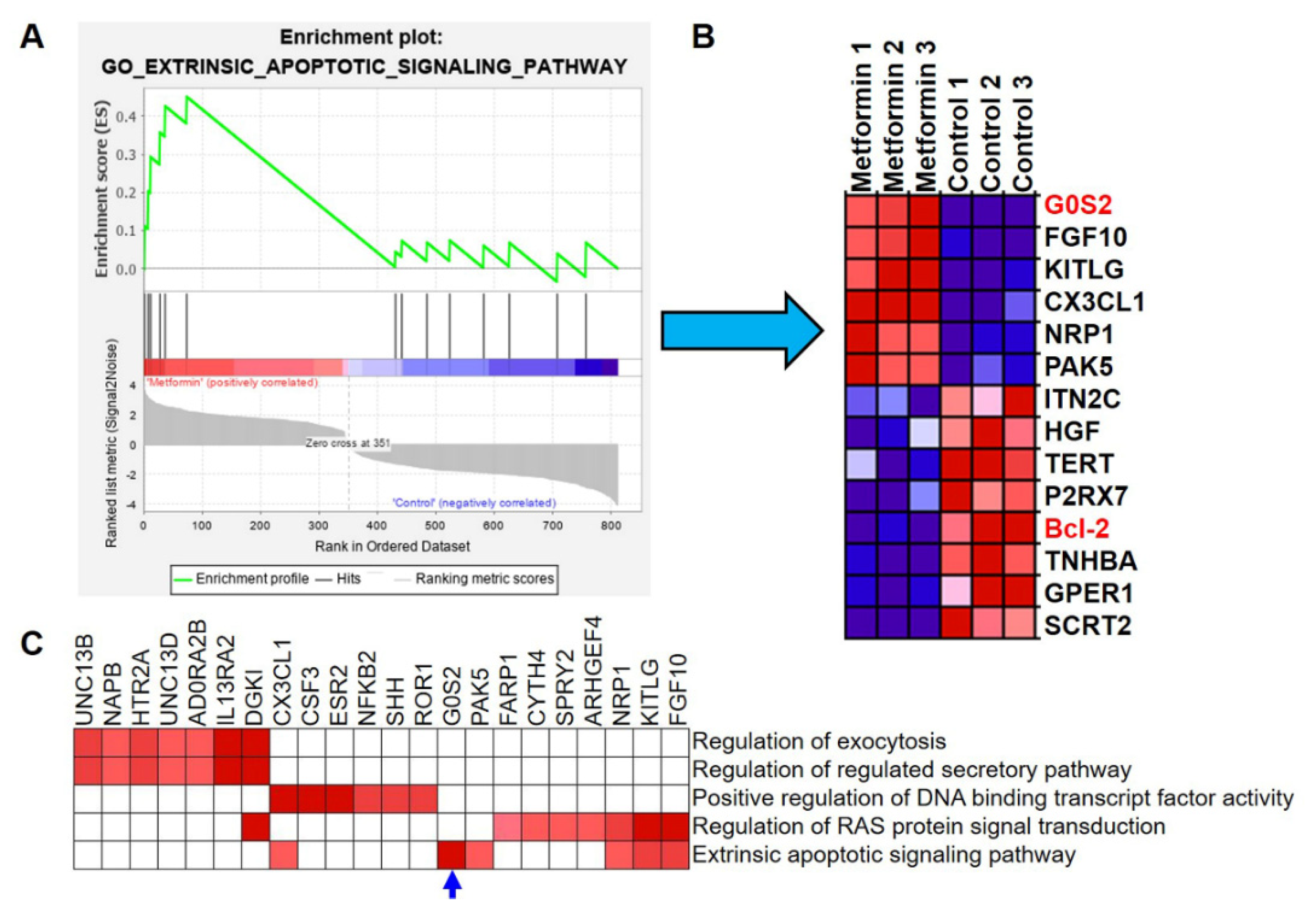 Genes 12 01437 g005