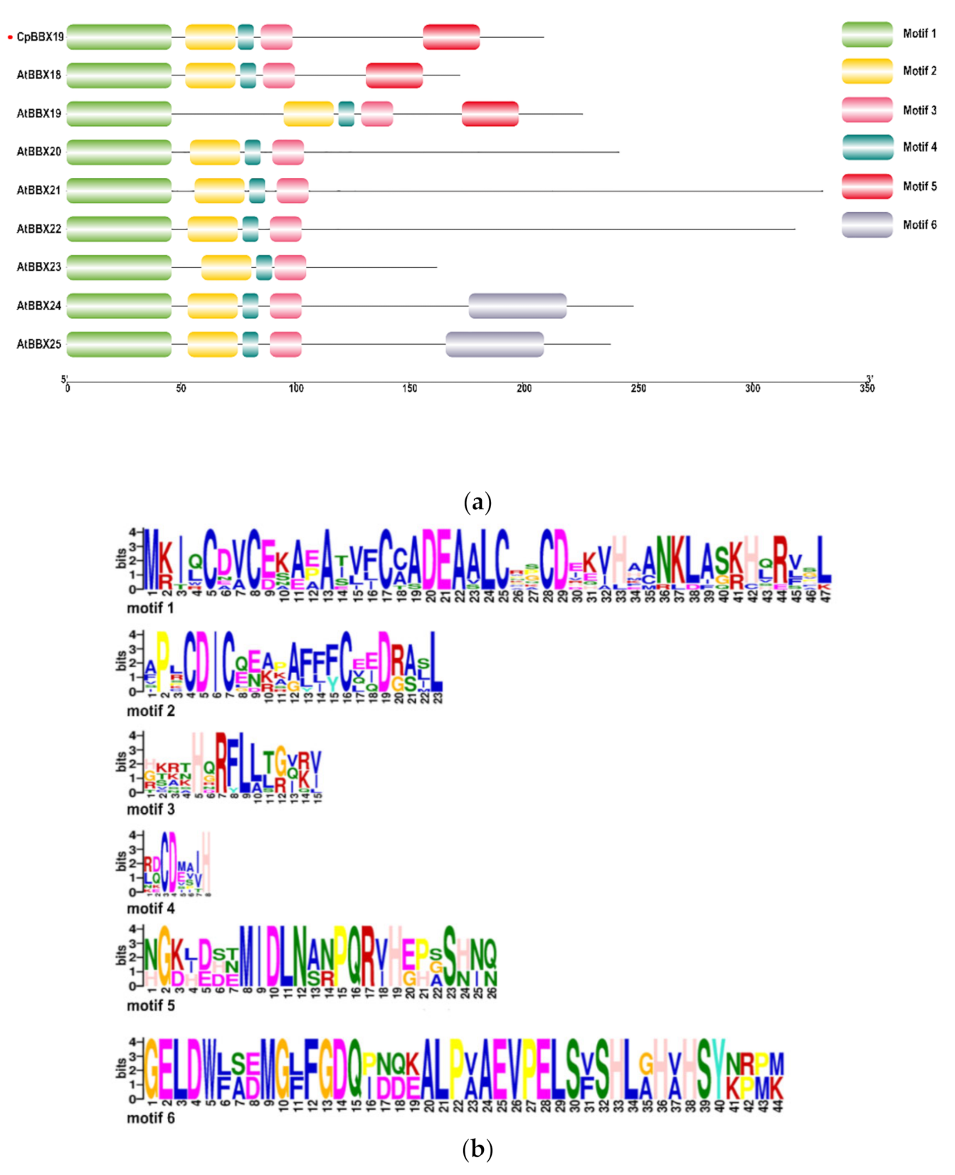 Genes 12 01456 g002