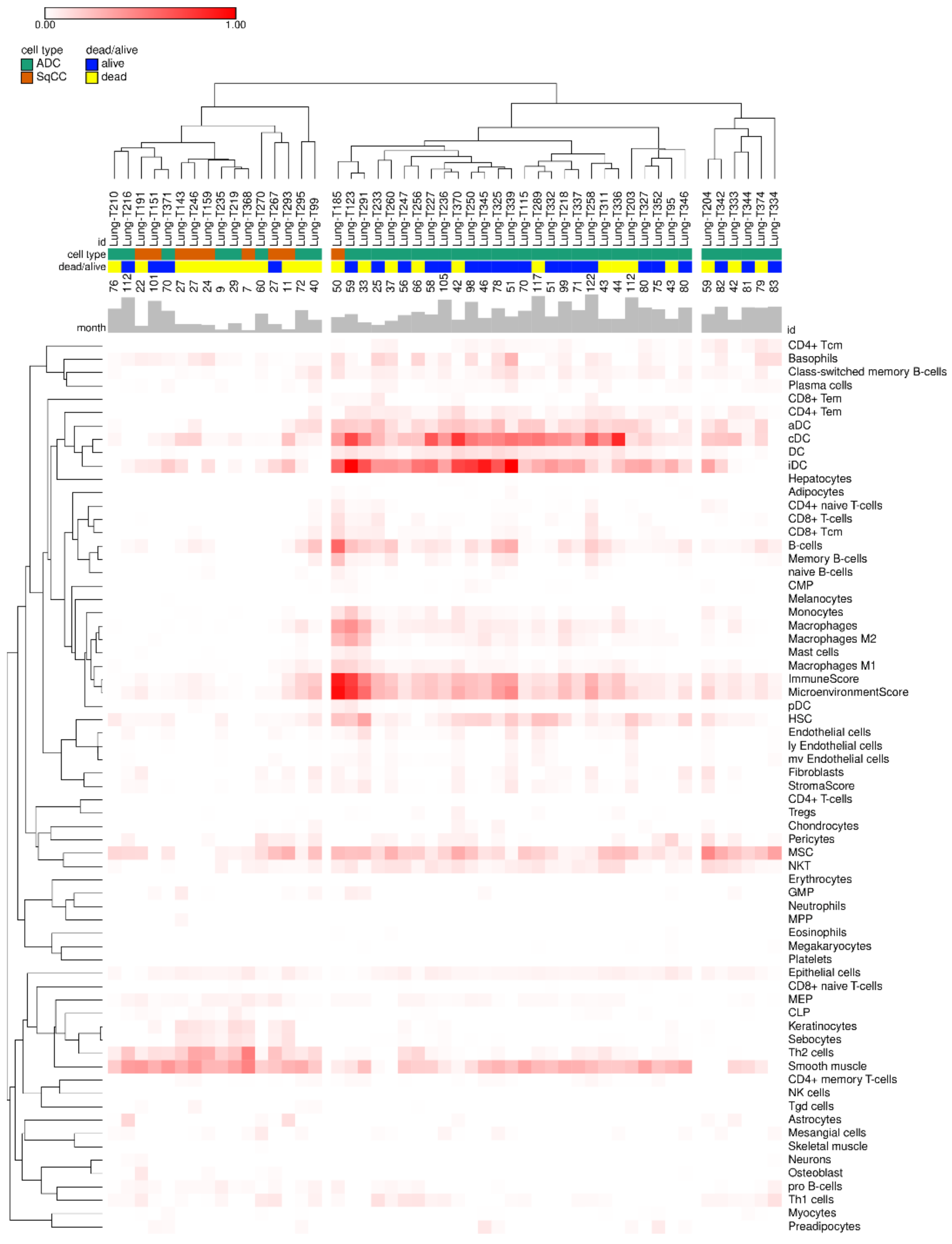 Genes 12 01458 g002