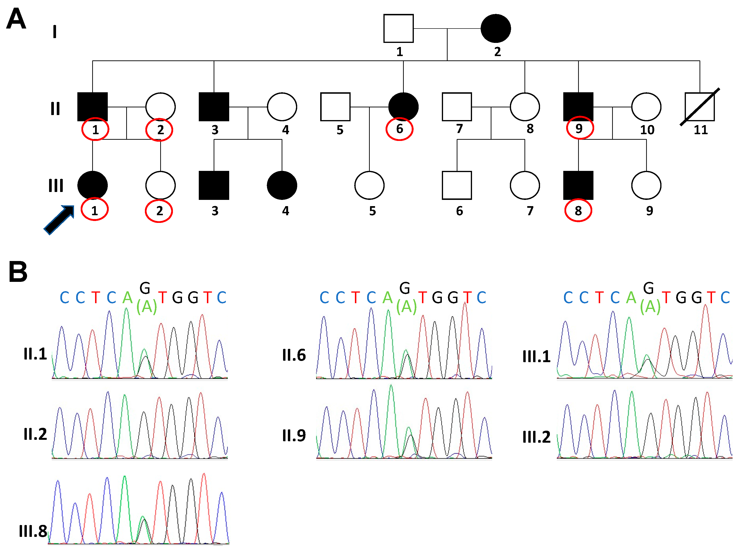 Genes 12 01503 g002