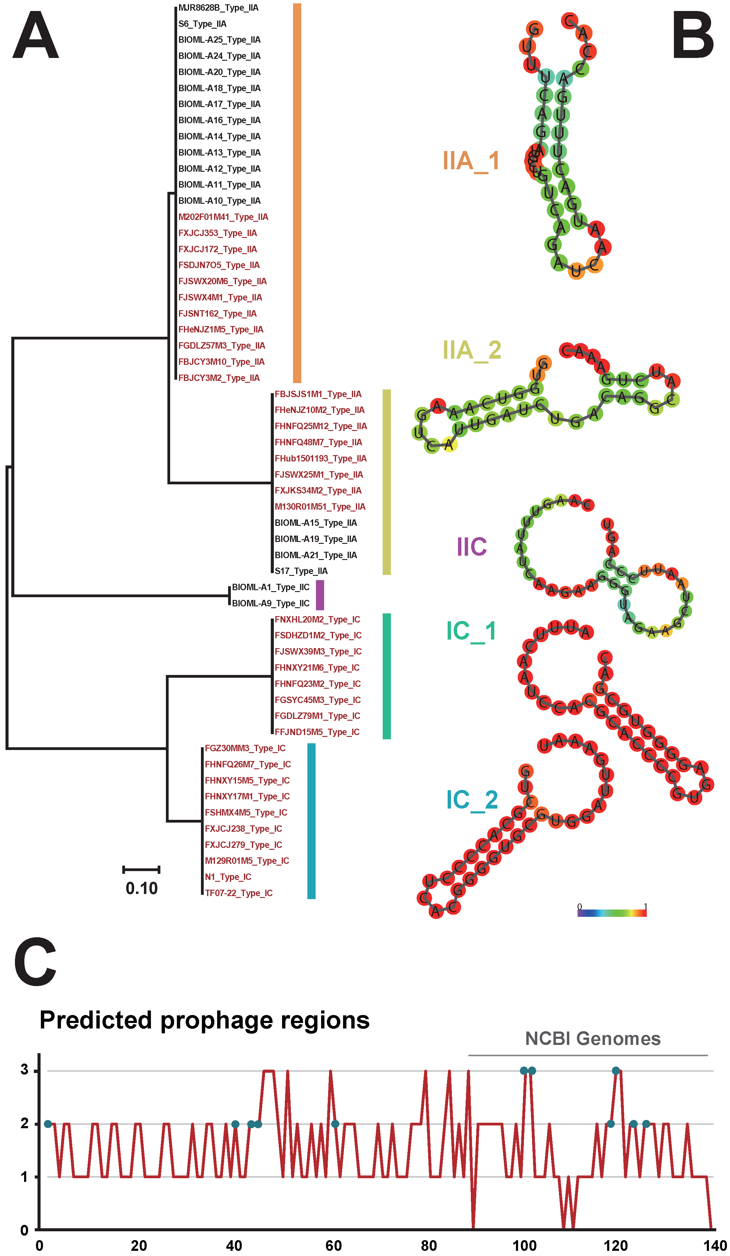 Genes 12 01504 g004