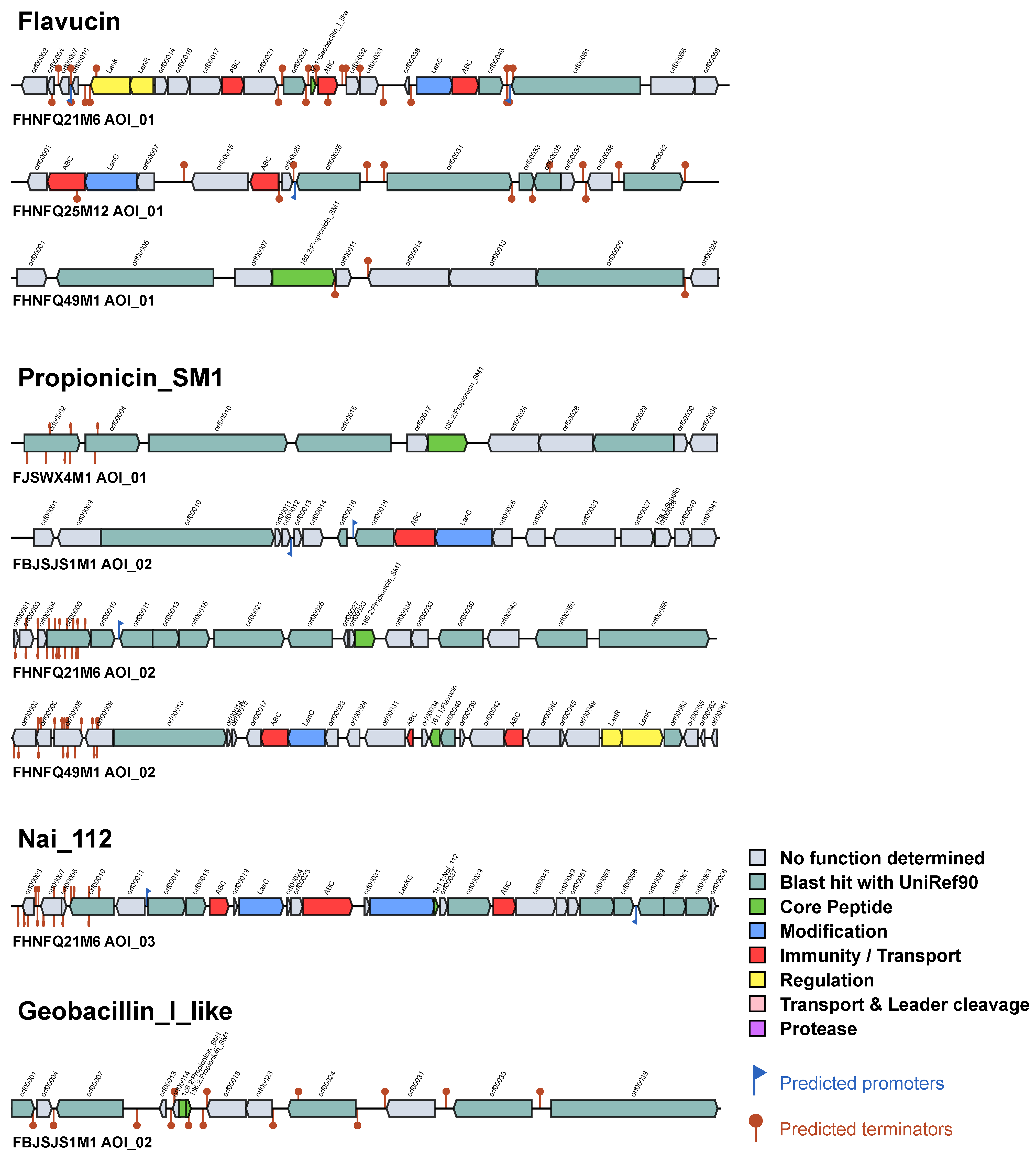 Genes 12 01504 g005