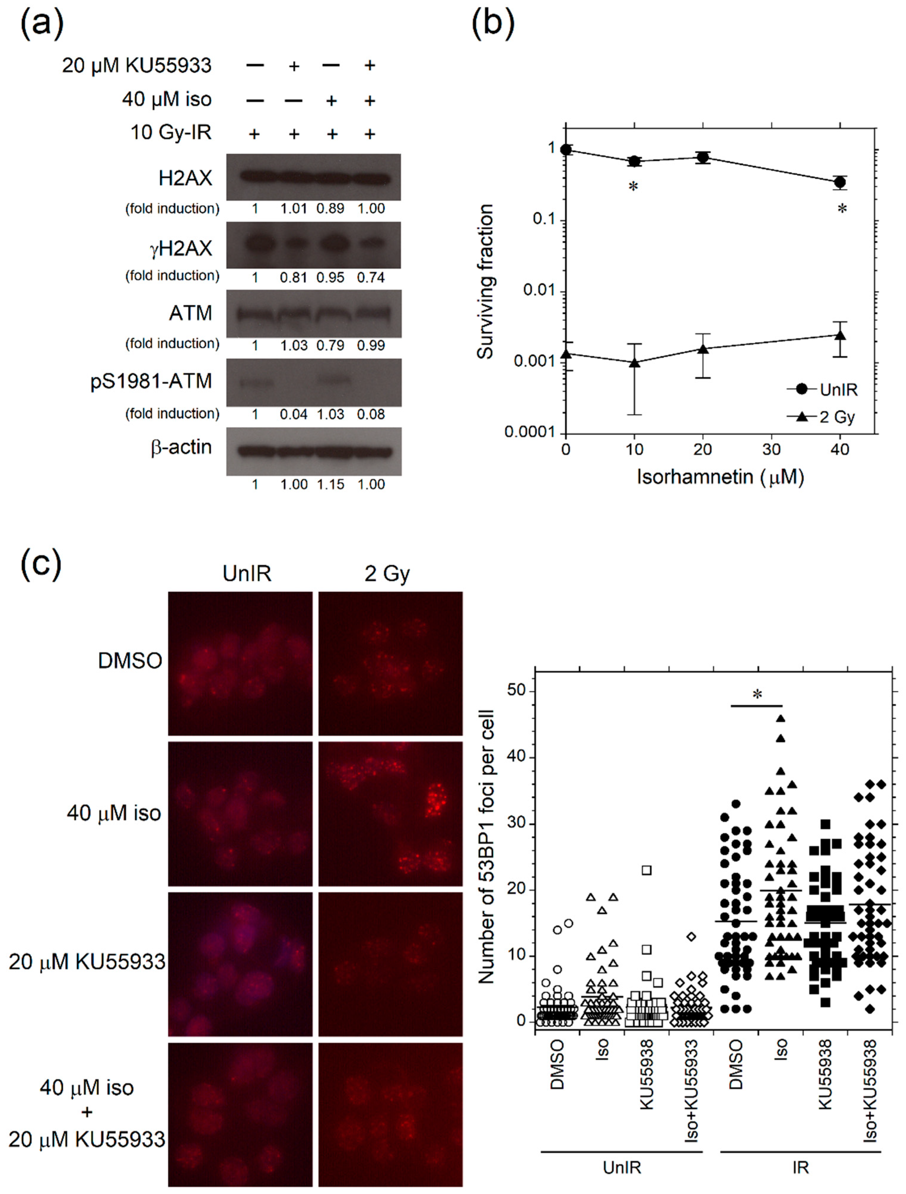 Genes 12 01514 g005 Genes 12 01514 g005