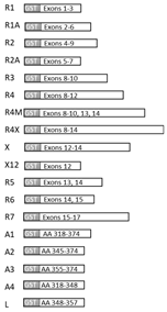 Genes 12 01516 i001