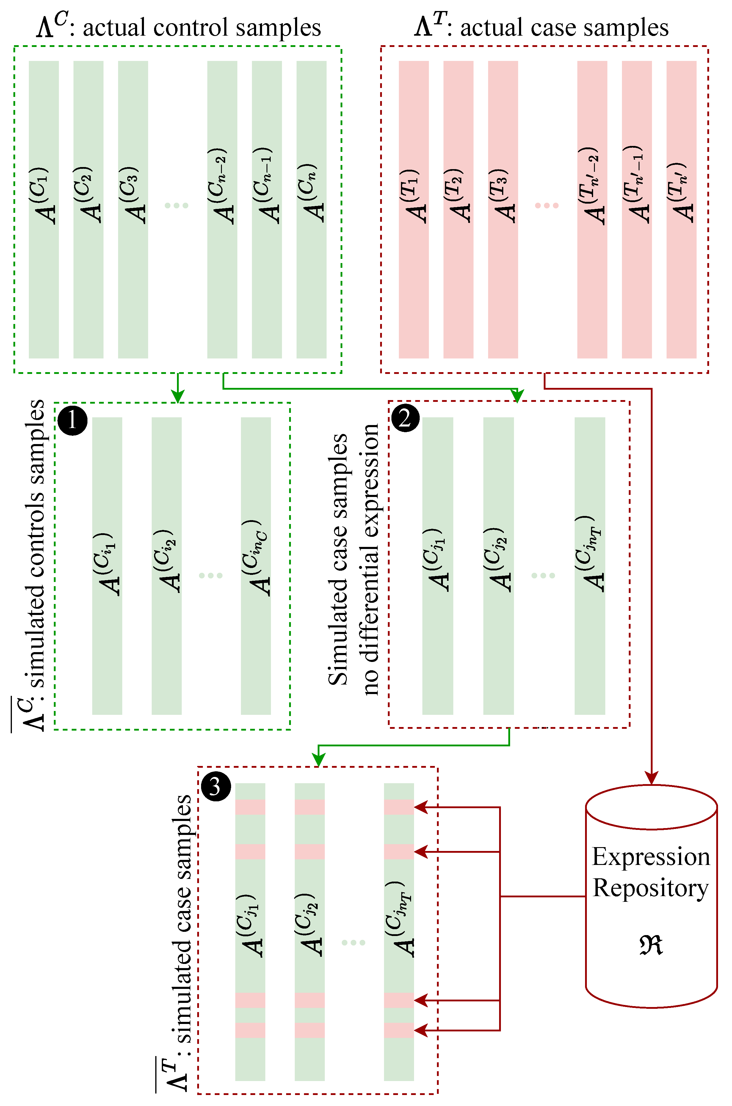 Genes 12 01523 g001