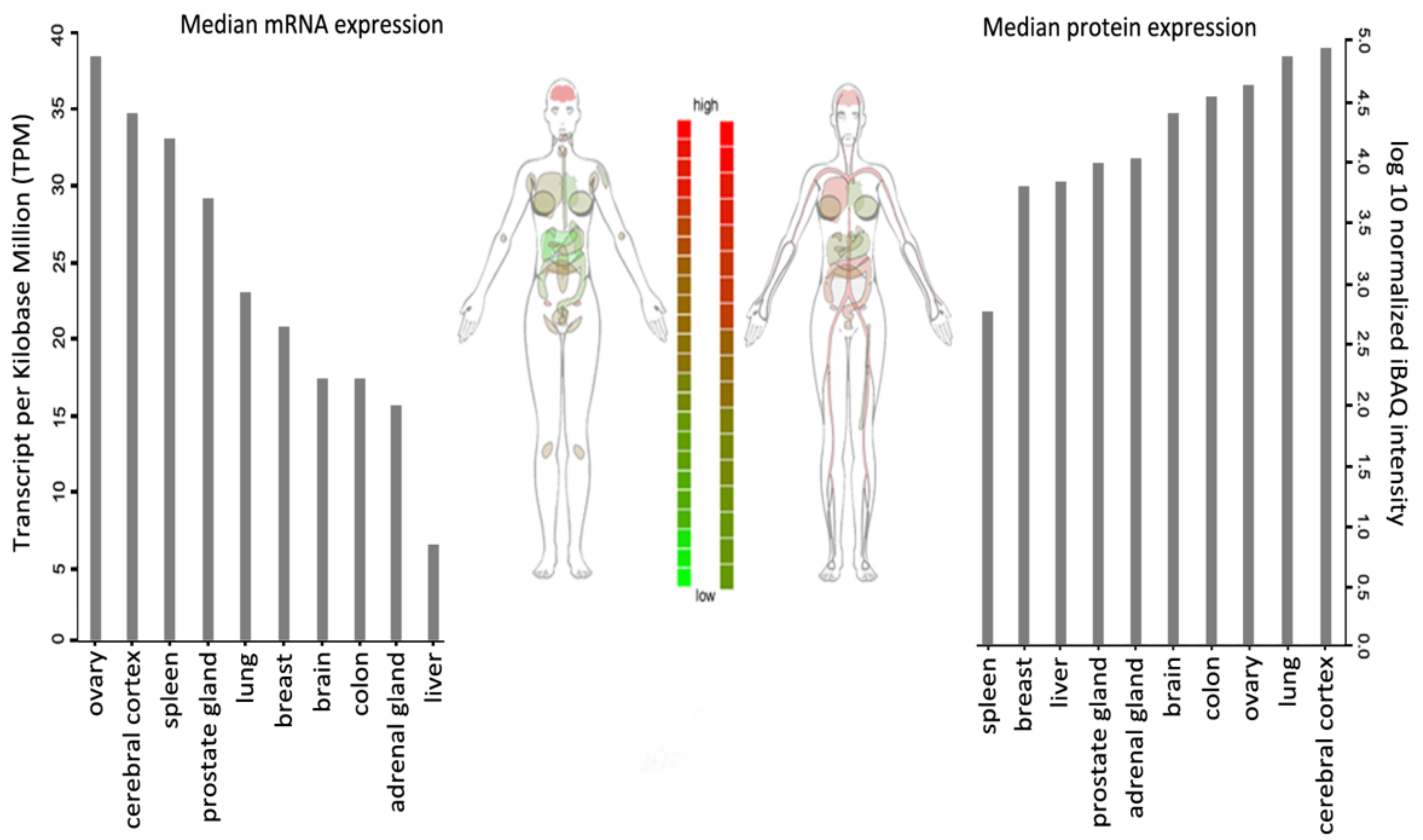 Genes 12 01541 g002