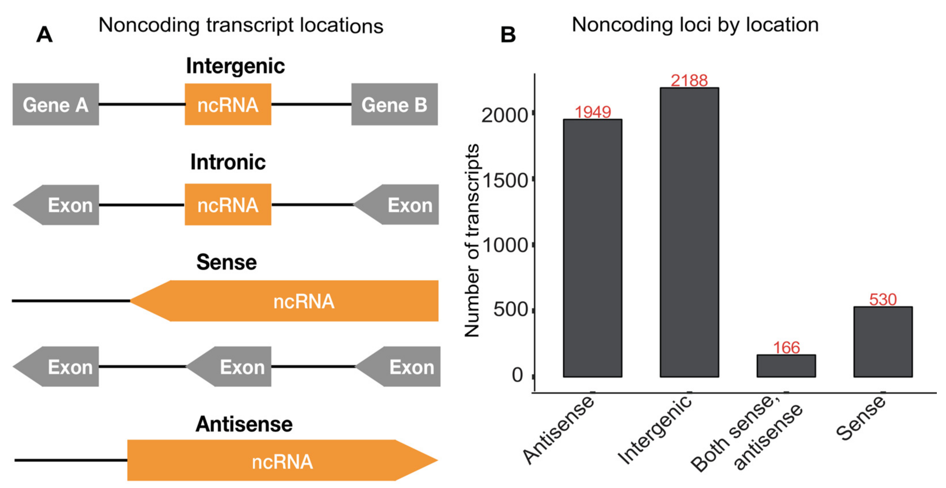 Genes 12 01549 g002 Genes 12 01549 g002