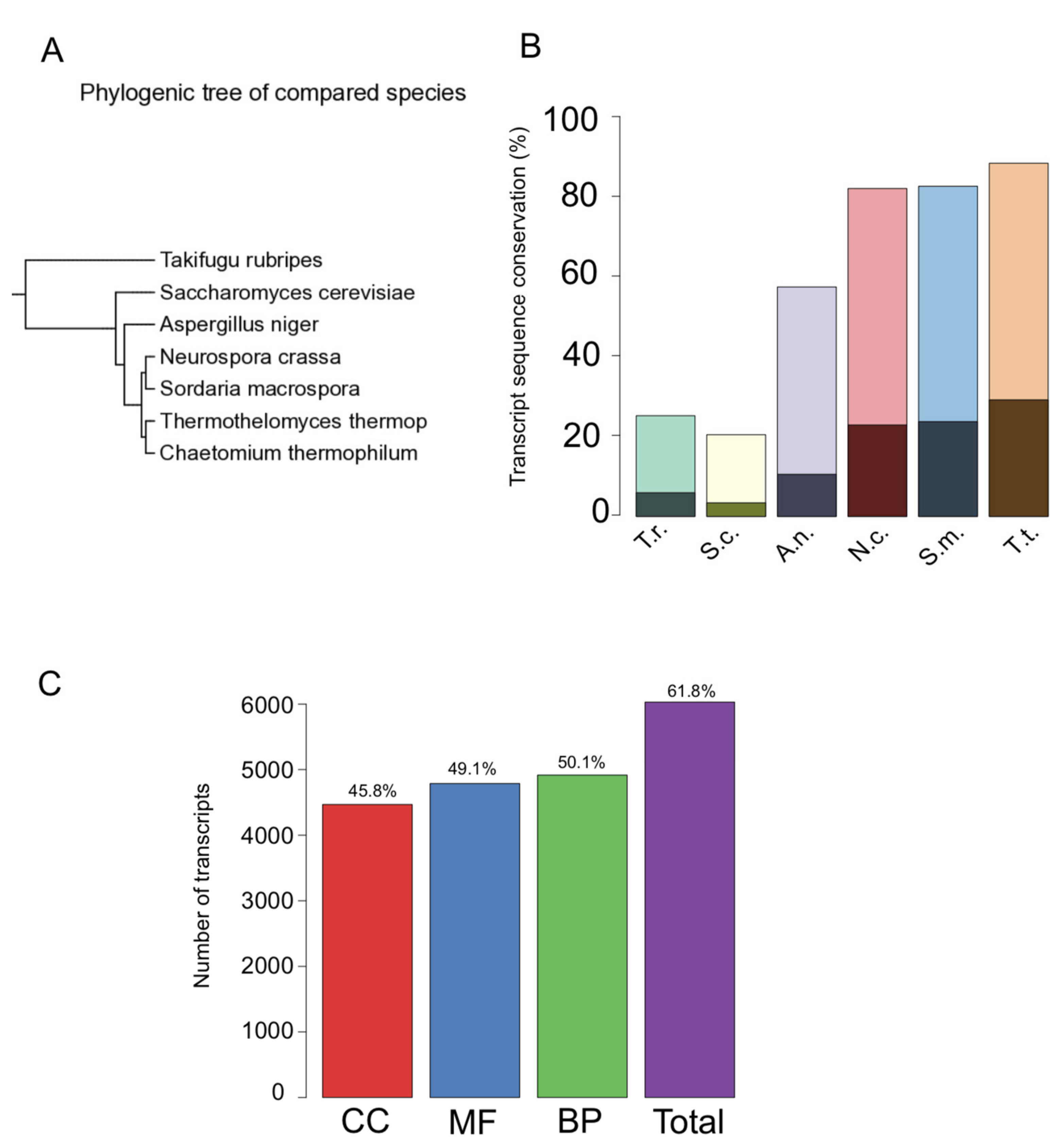 Genes 12 01549 g003 Genes 12 01549 g003