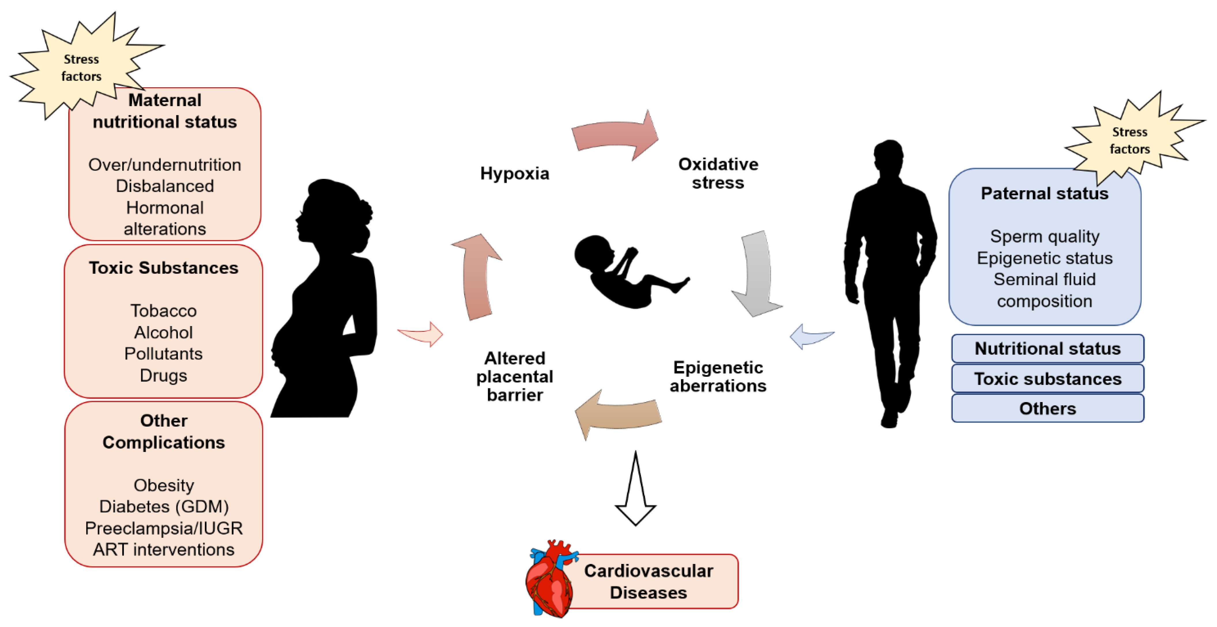 Genes 12 01564 g001 Genes 12 01564 g001
